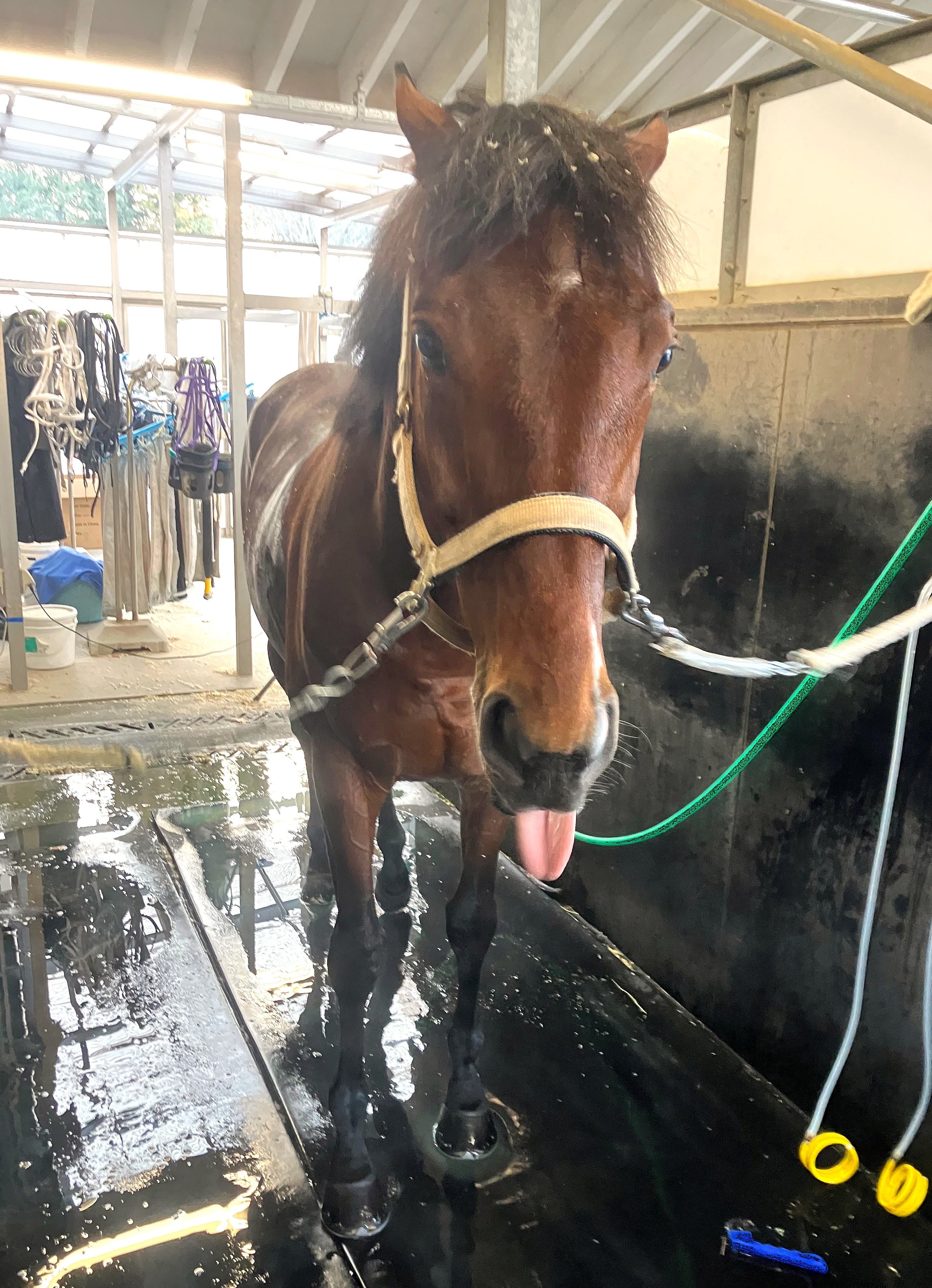 画像サムネイル