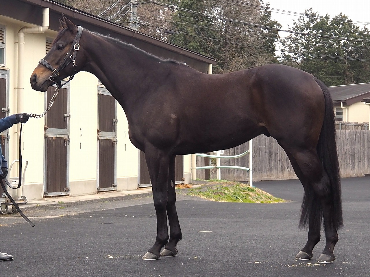 画像サムネイル