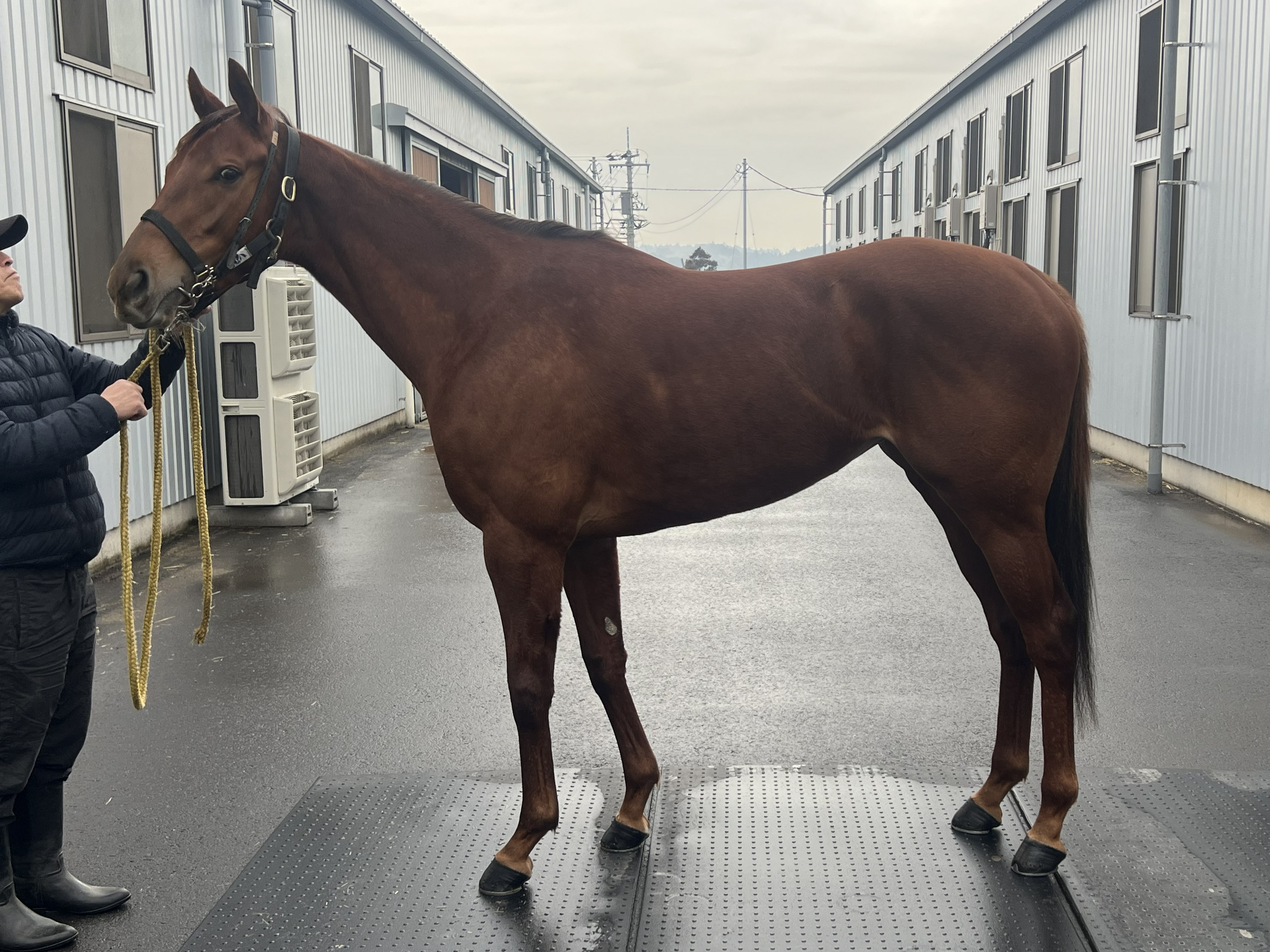 画像サムネイル