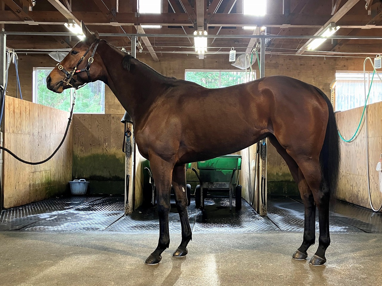 画像サムネイル