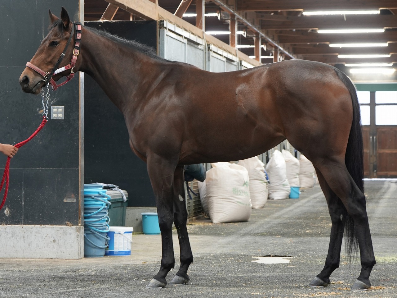 画像サムネイル