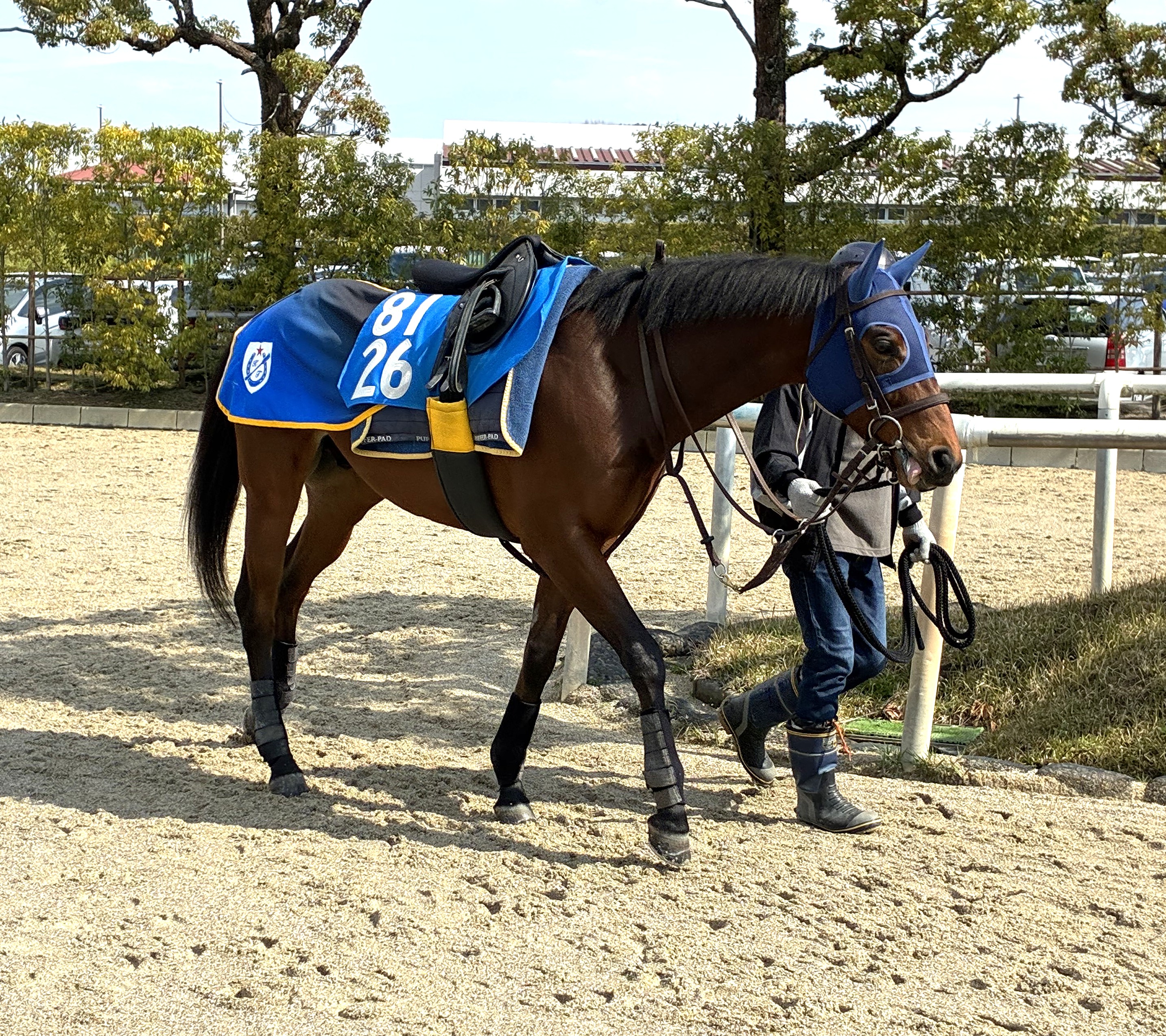 画像サムネイル