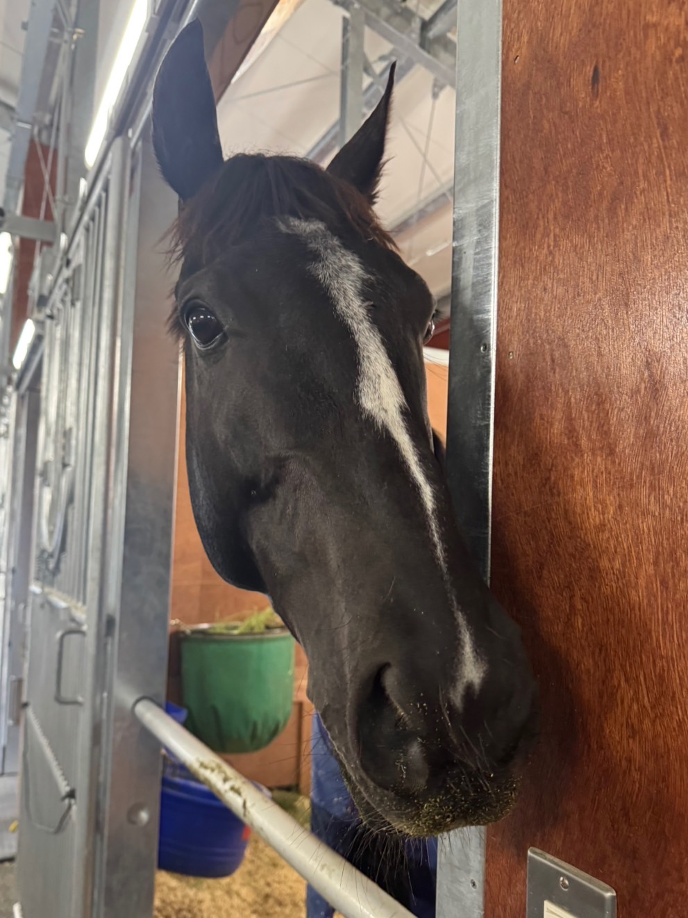 画像サムネイル