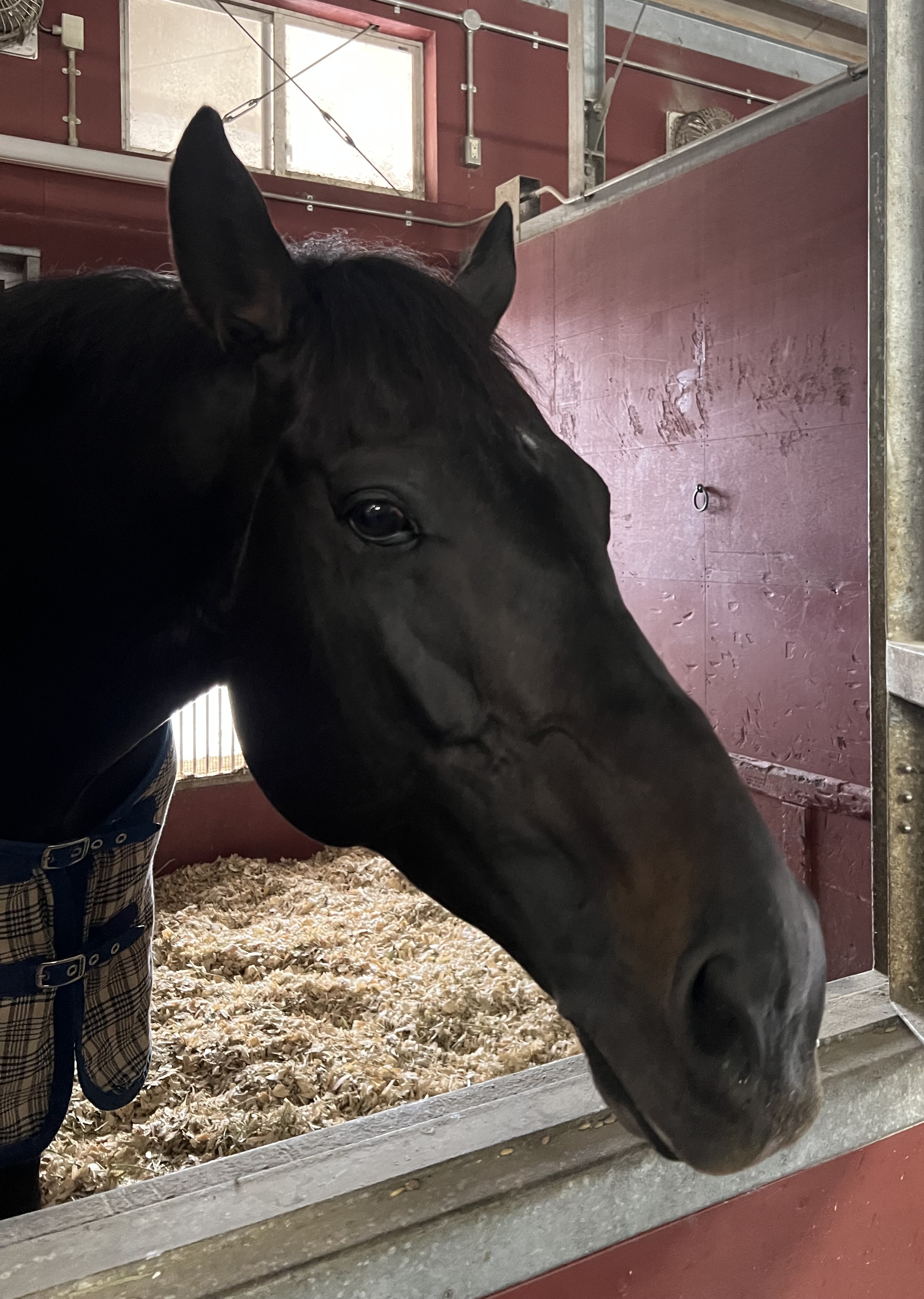 画像サムネイル