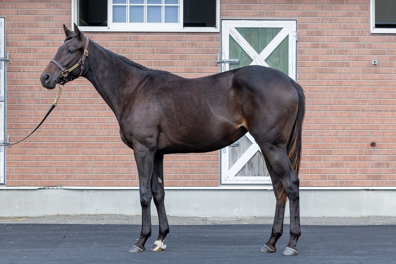 画像サムネイル