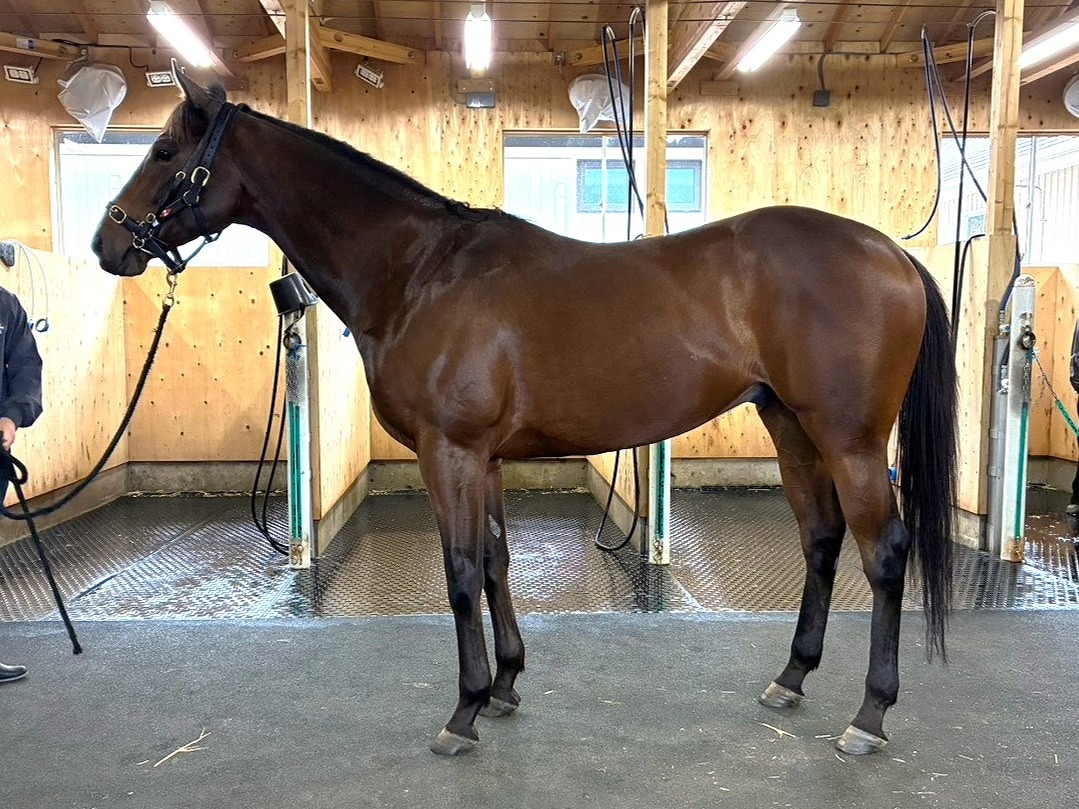 画像サムネイル