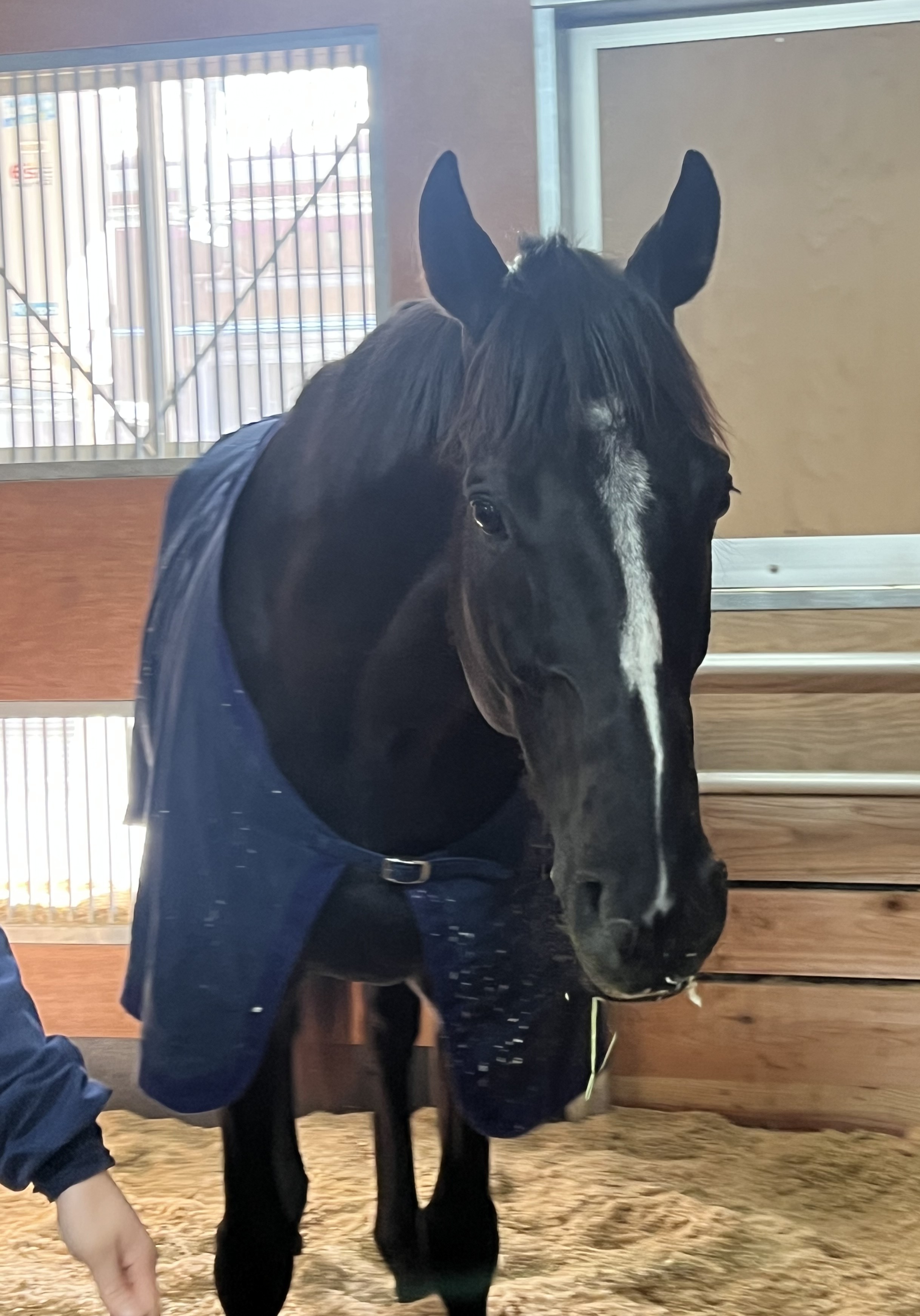 画像サムネイル