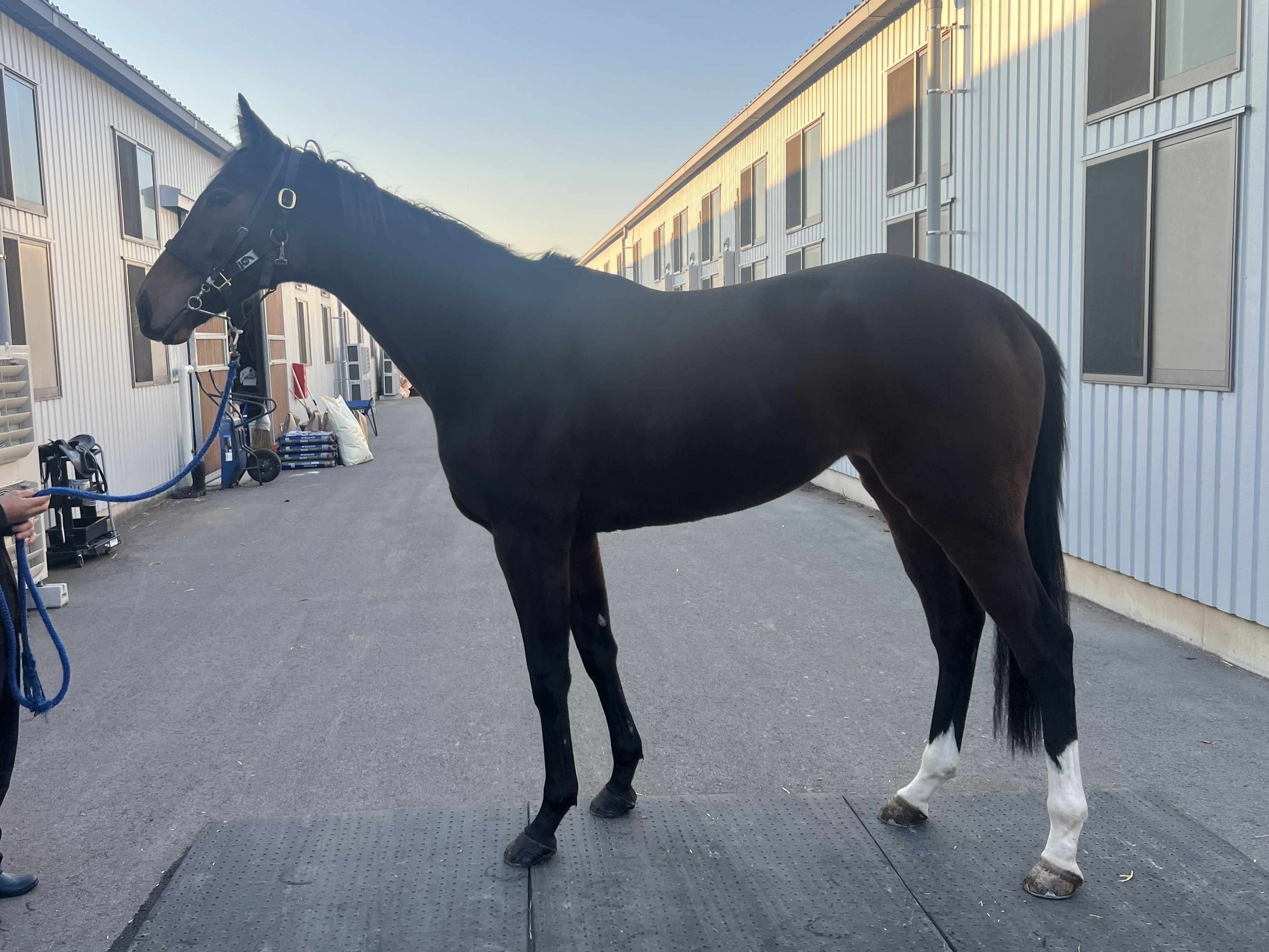 画像サムネイル