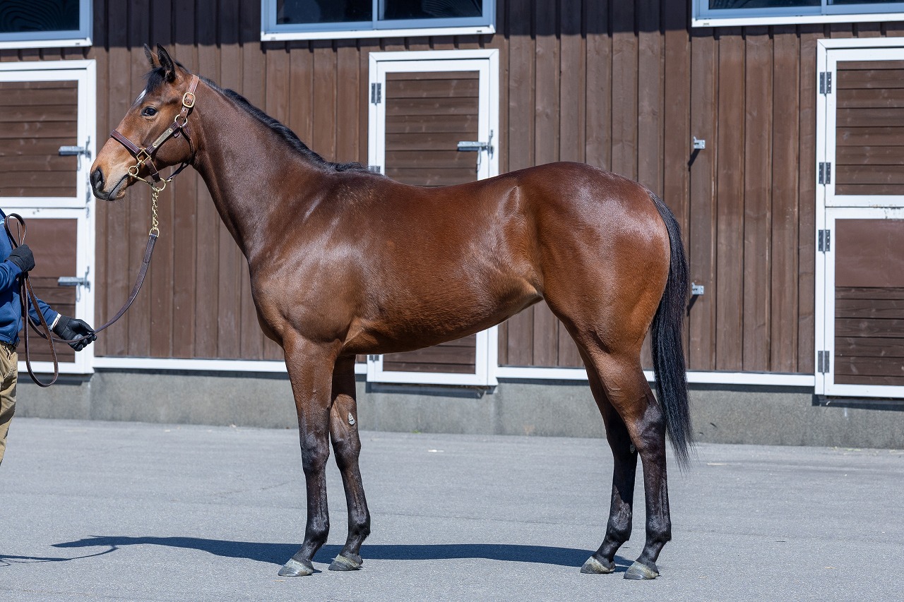 画像サムネイル