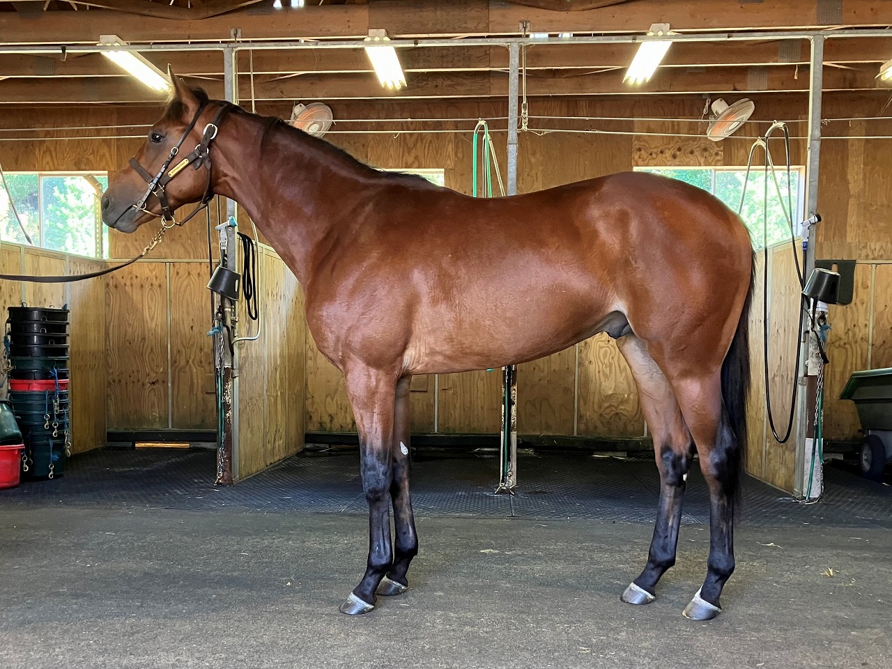 画像サムネイル