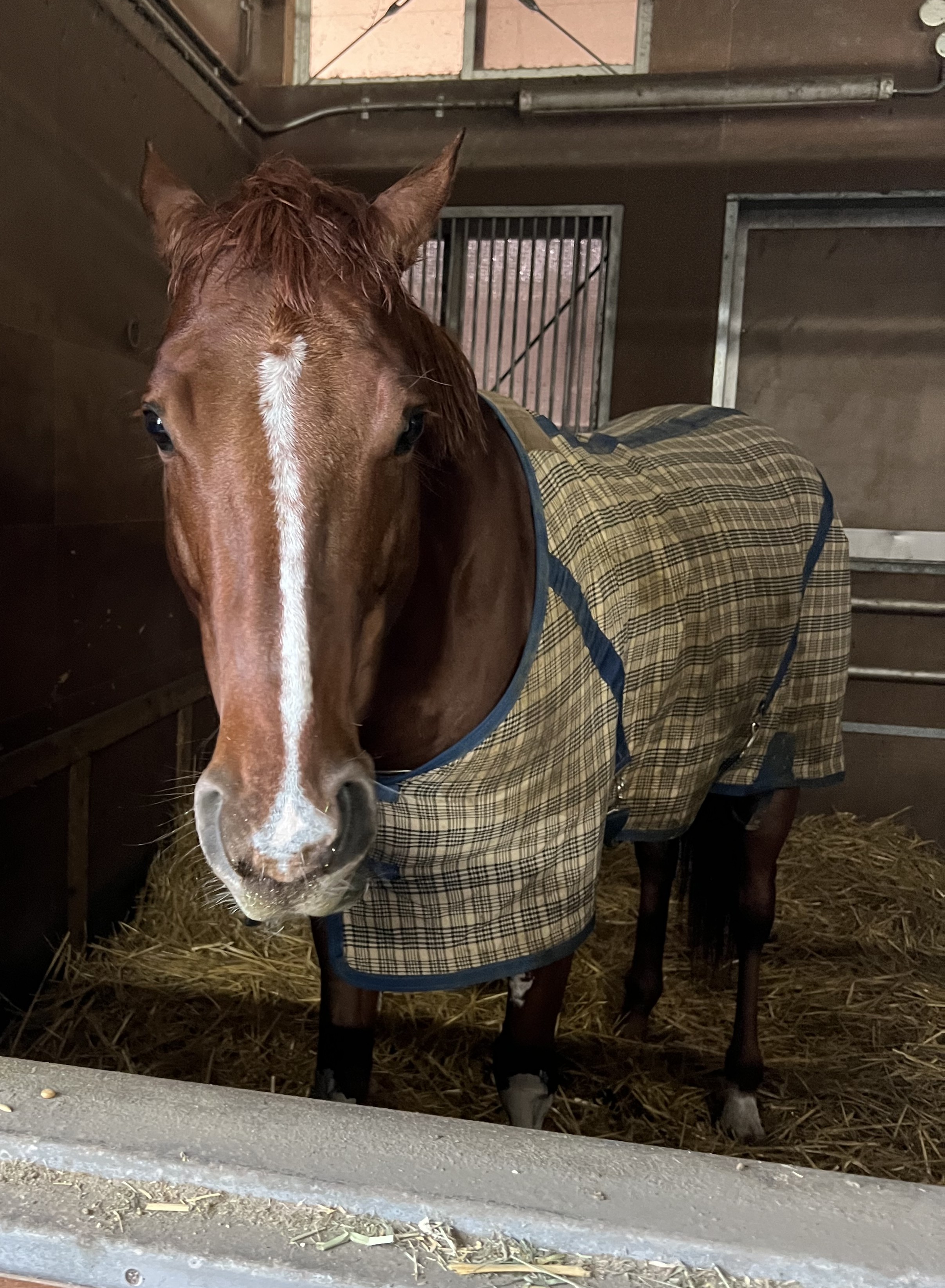 画像サムネイル