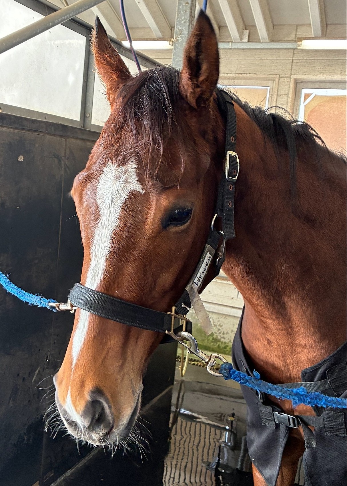 画像サムネイル