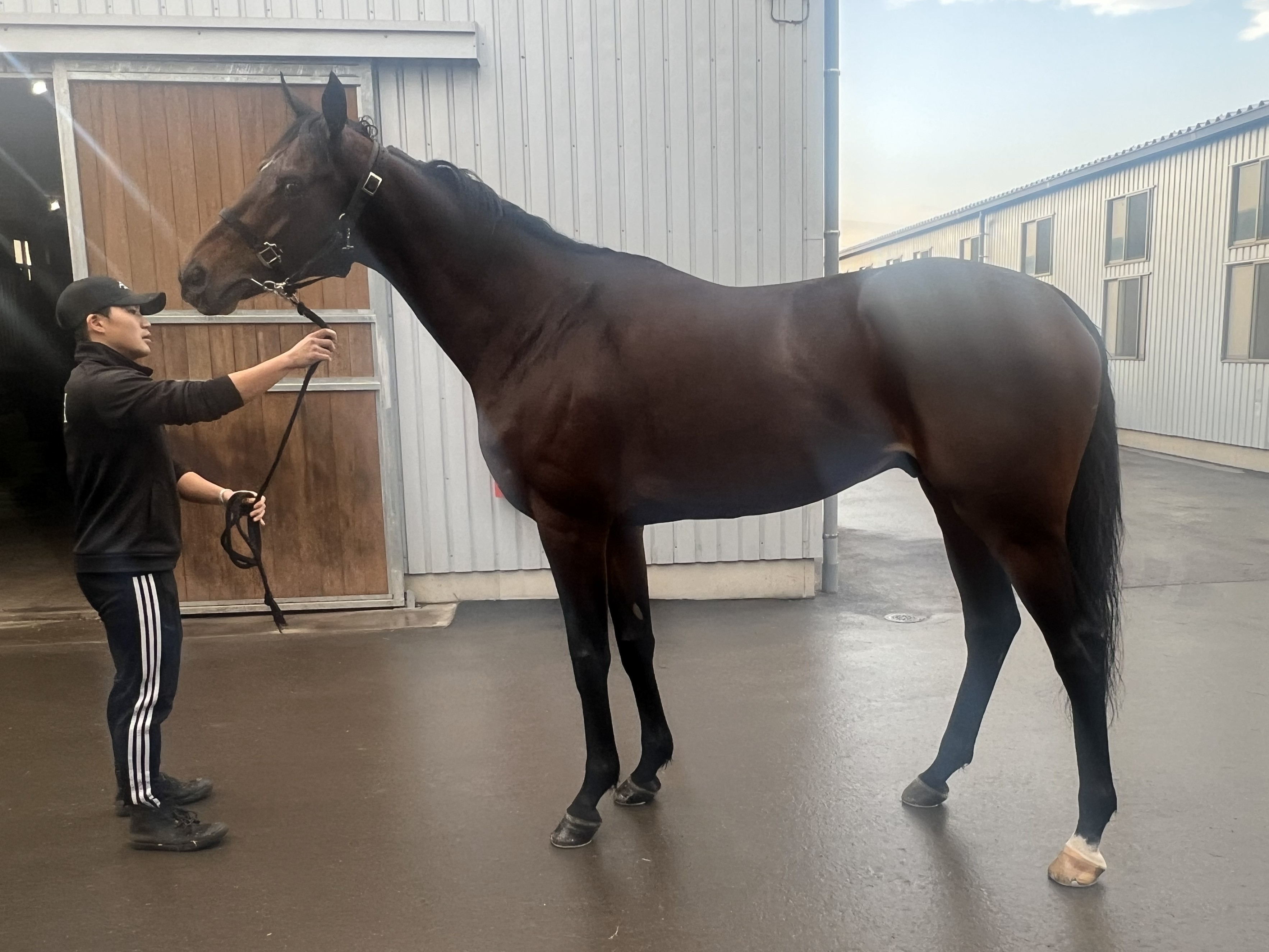 画像サムネイル