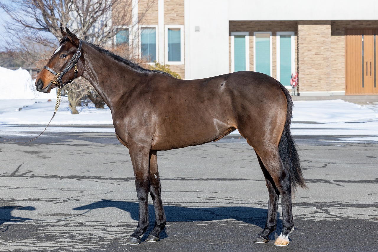 画像サムネイル