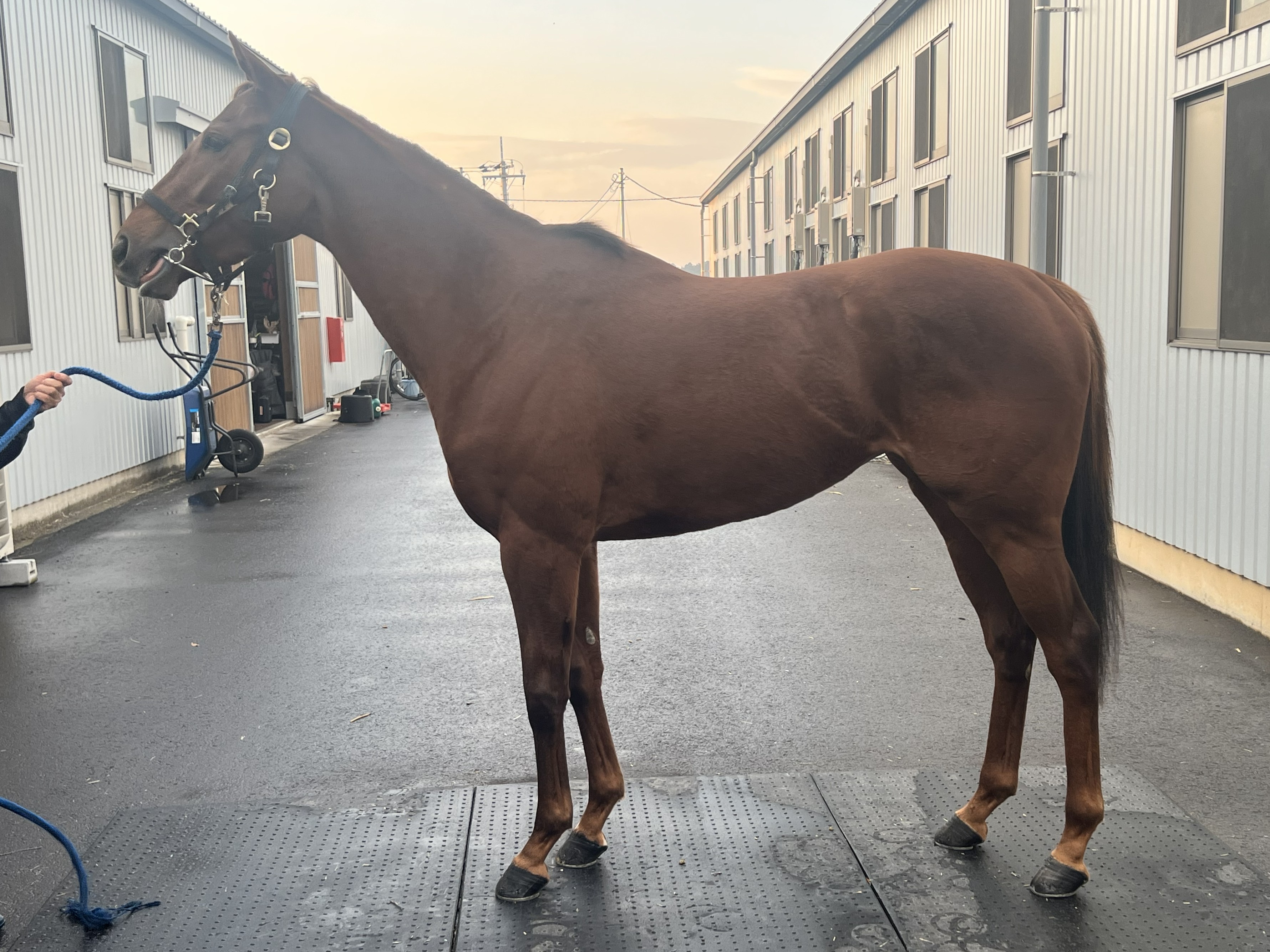 画像サムネイル