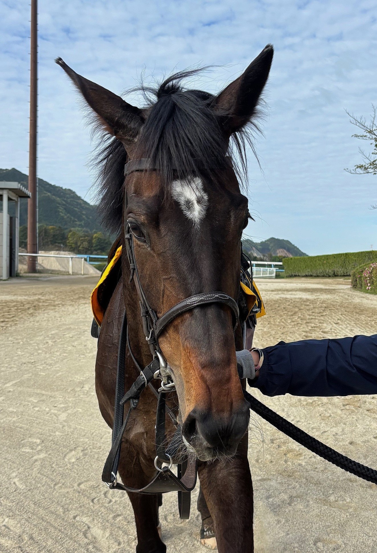 画像サムネイル