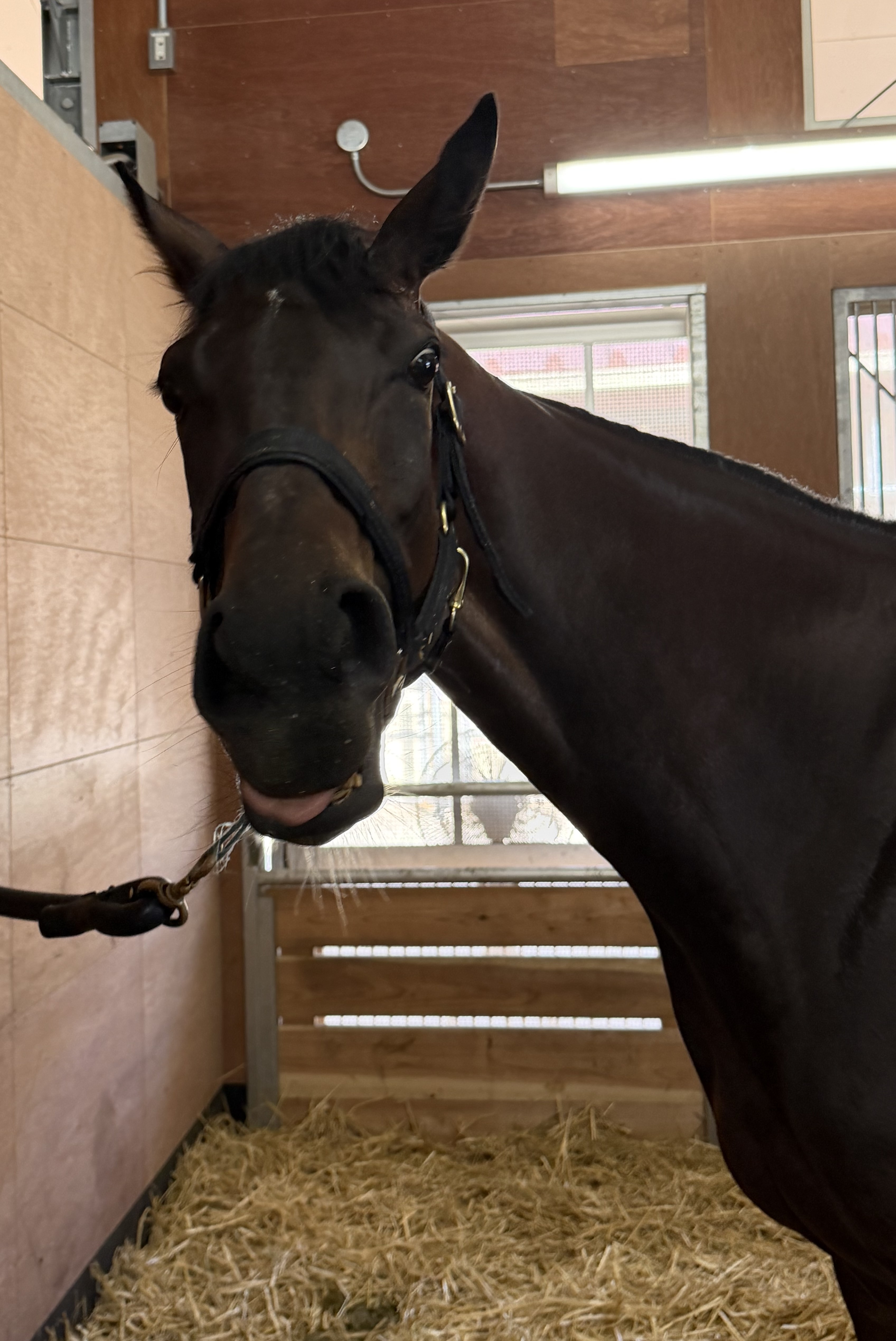 画像サムネイル