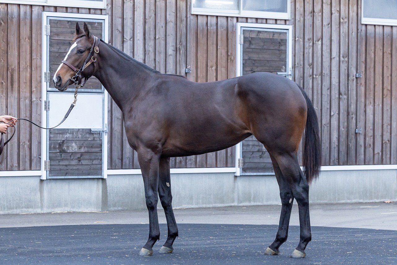 画像サムネイル