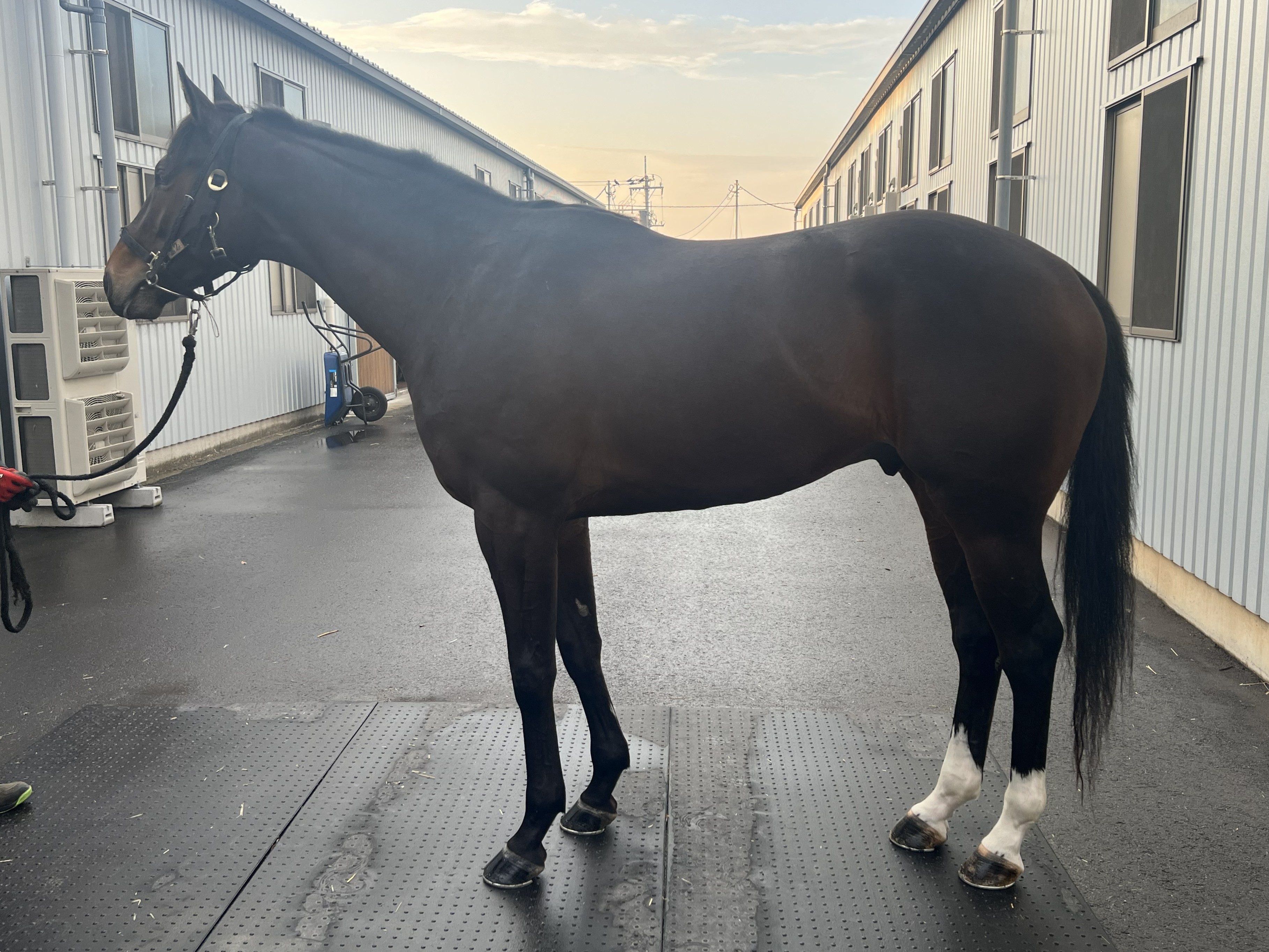 画像サムネイル