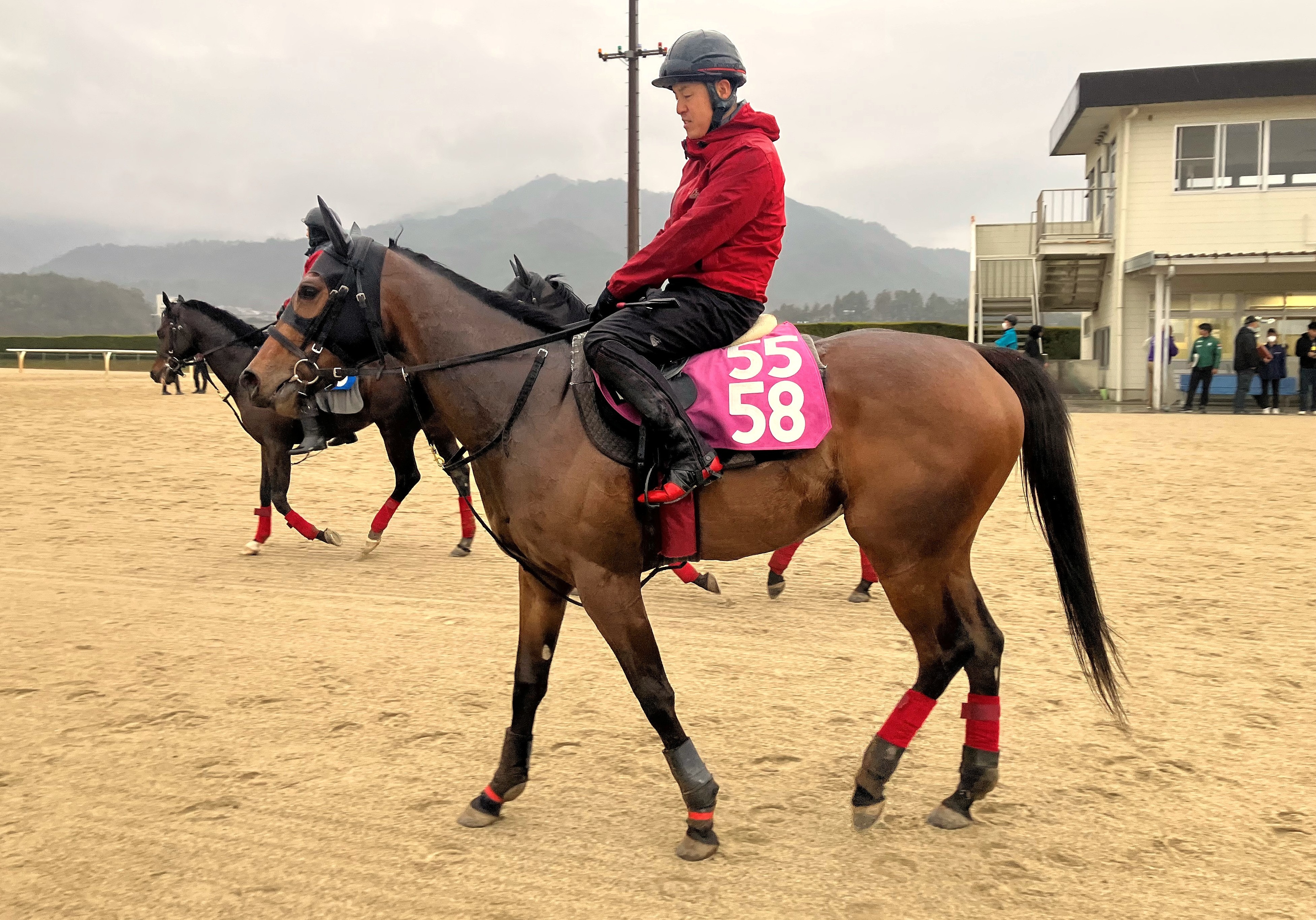 画像サムネイル