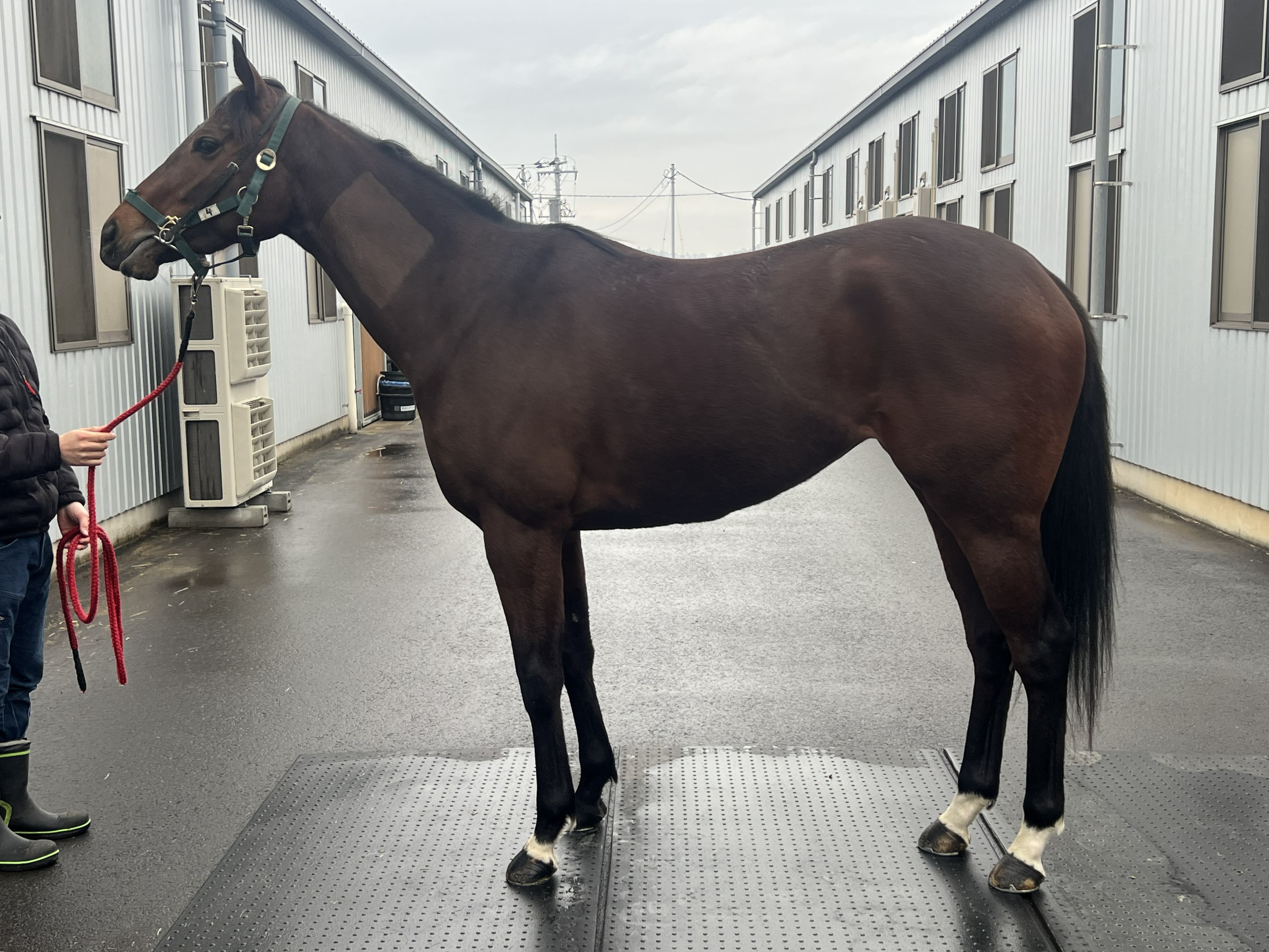 画像サムネイル