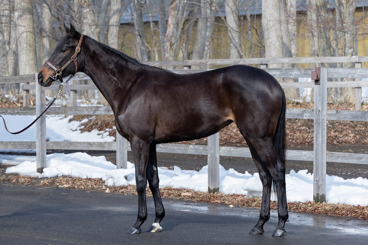 画像サムネイル