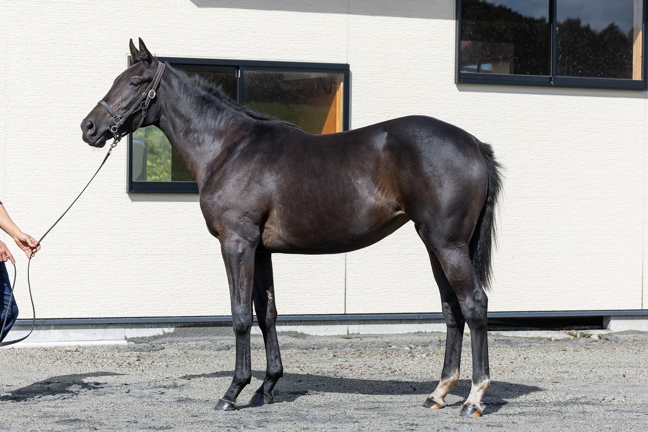 画像サムネイル