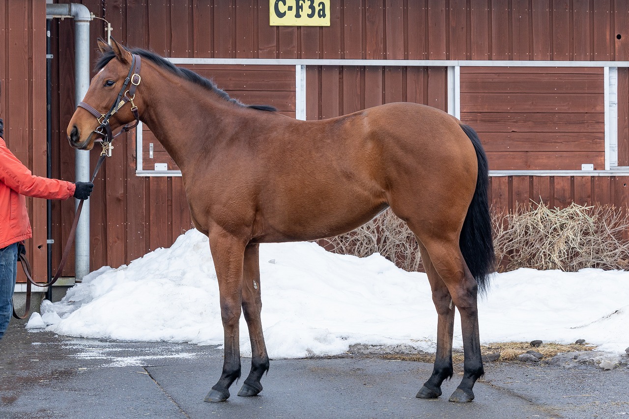 画像サムネイル