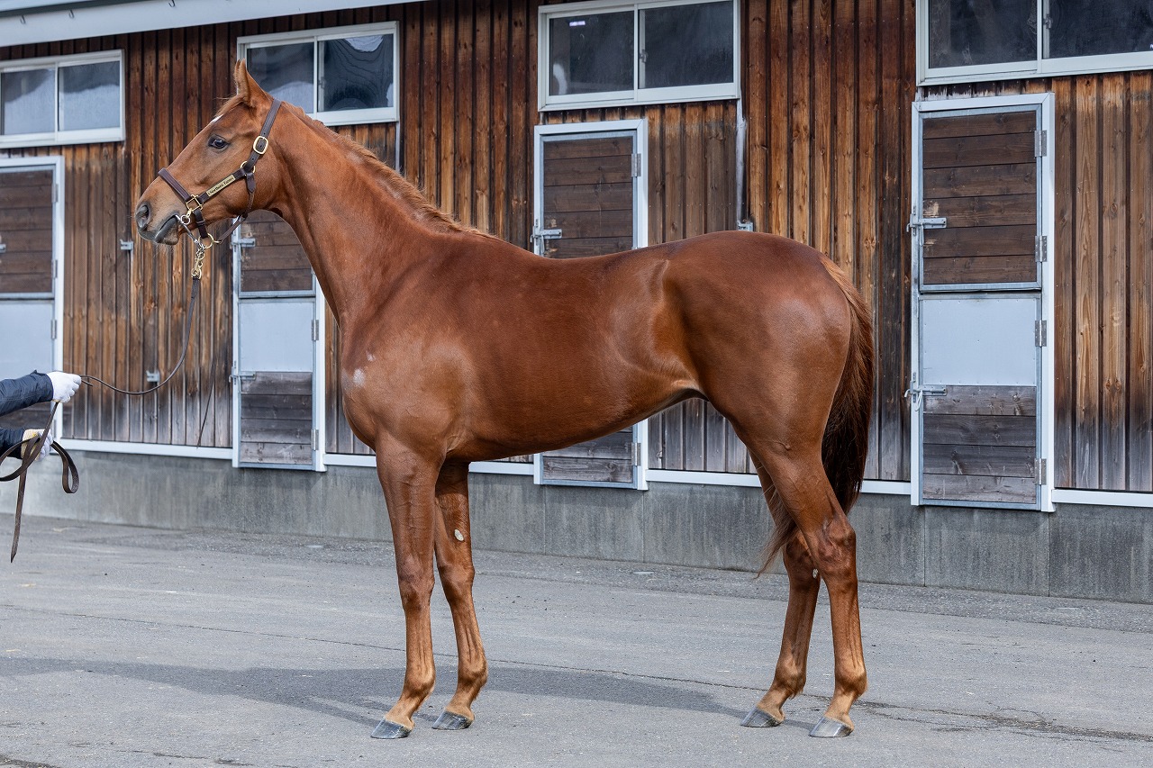 画像サムネイル