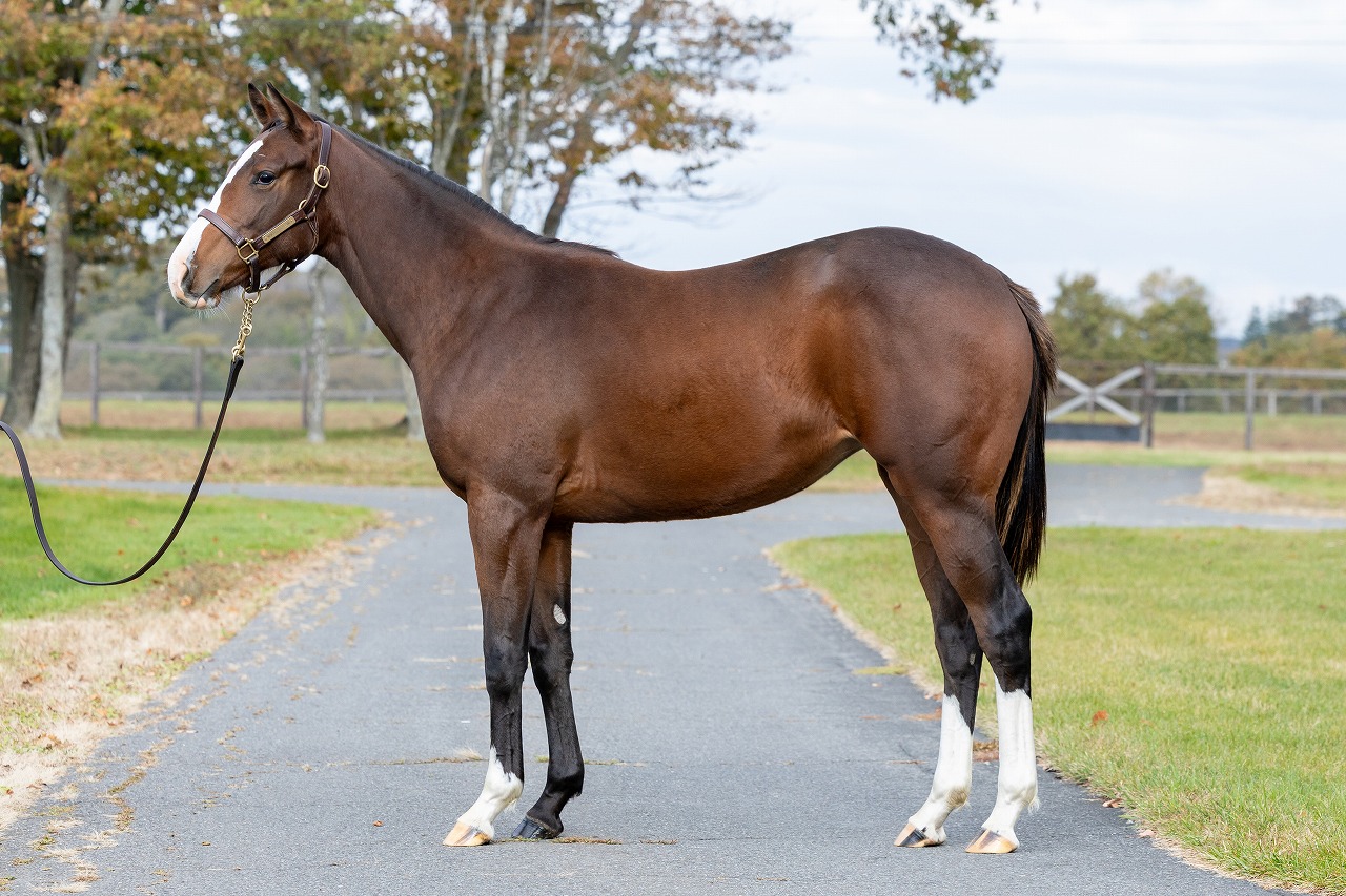 画像サムネイル