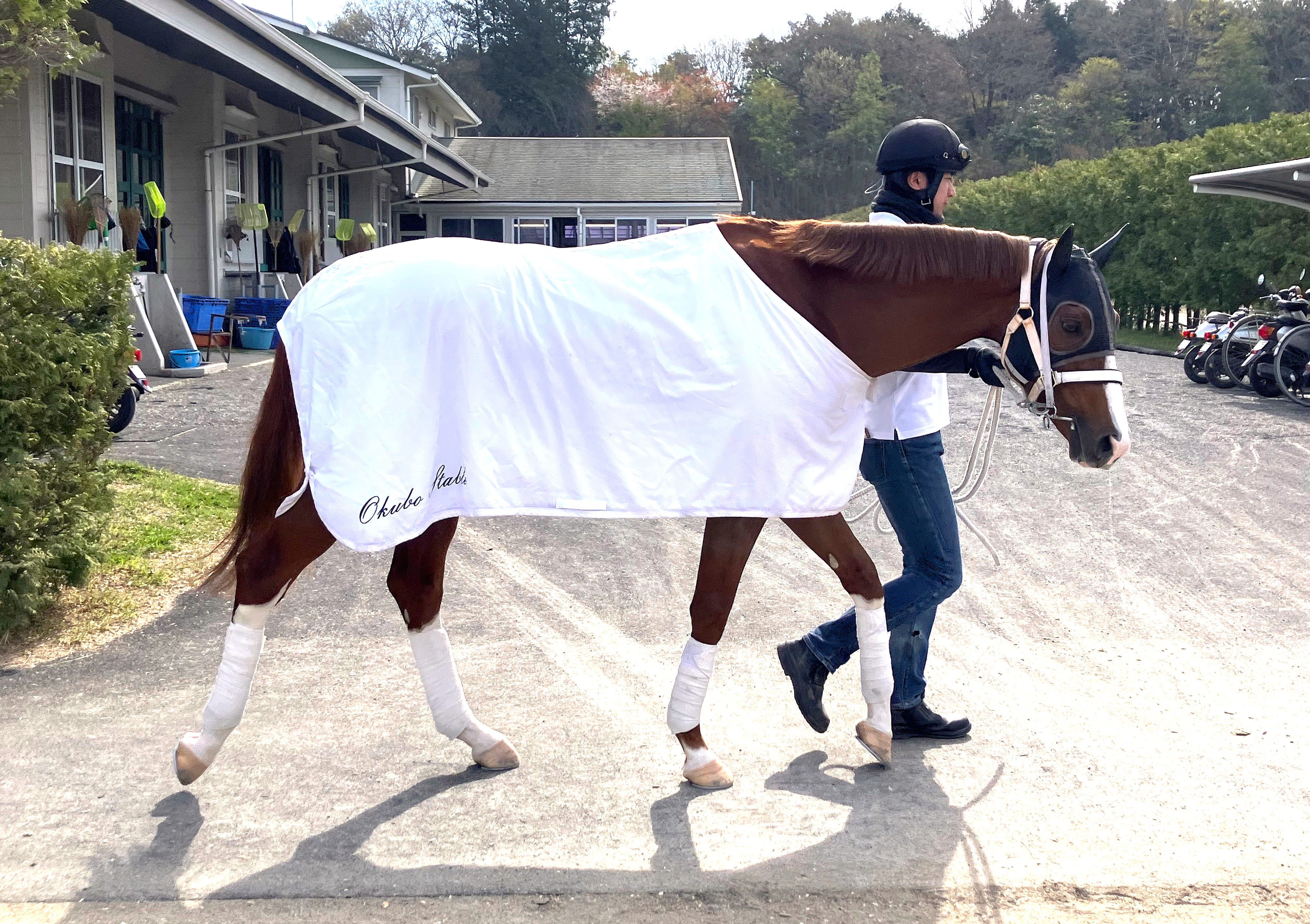 画像サムネイル