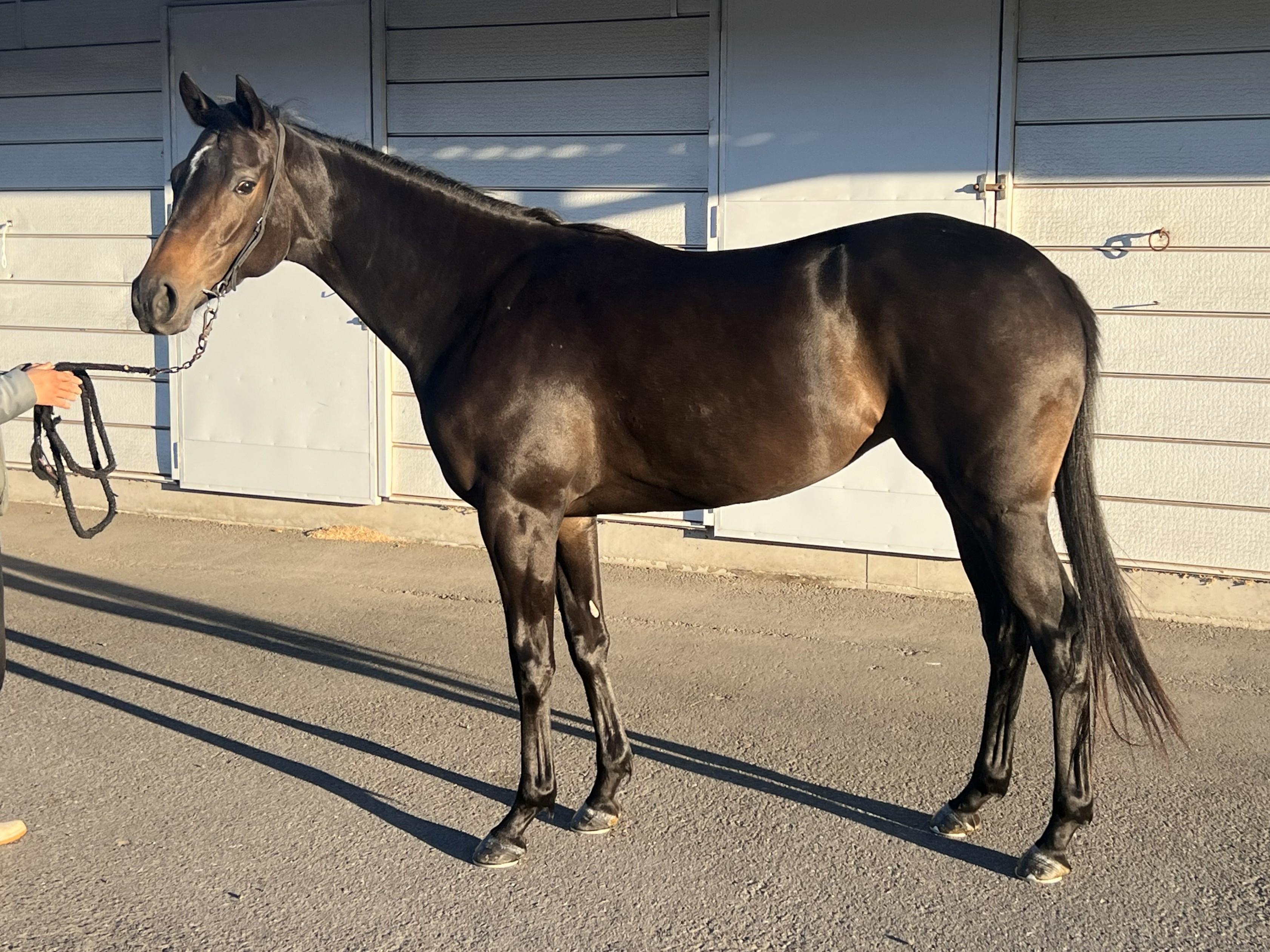 画像サムネイル