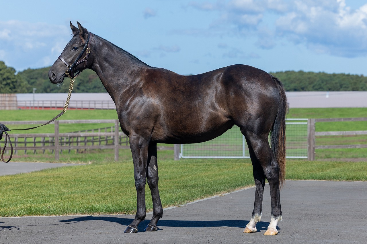 画像サムネイル