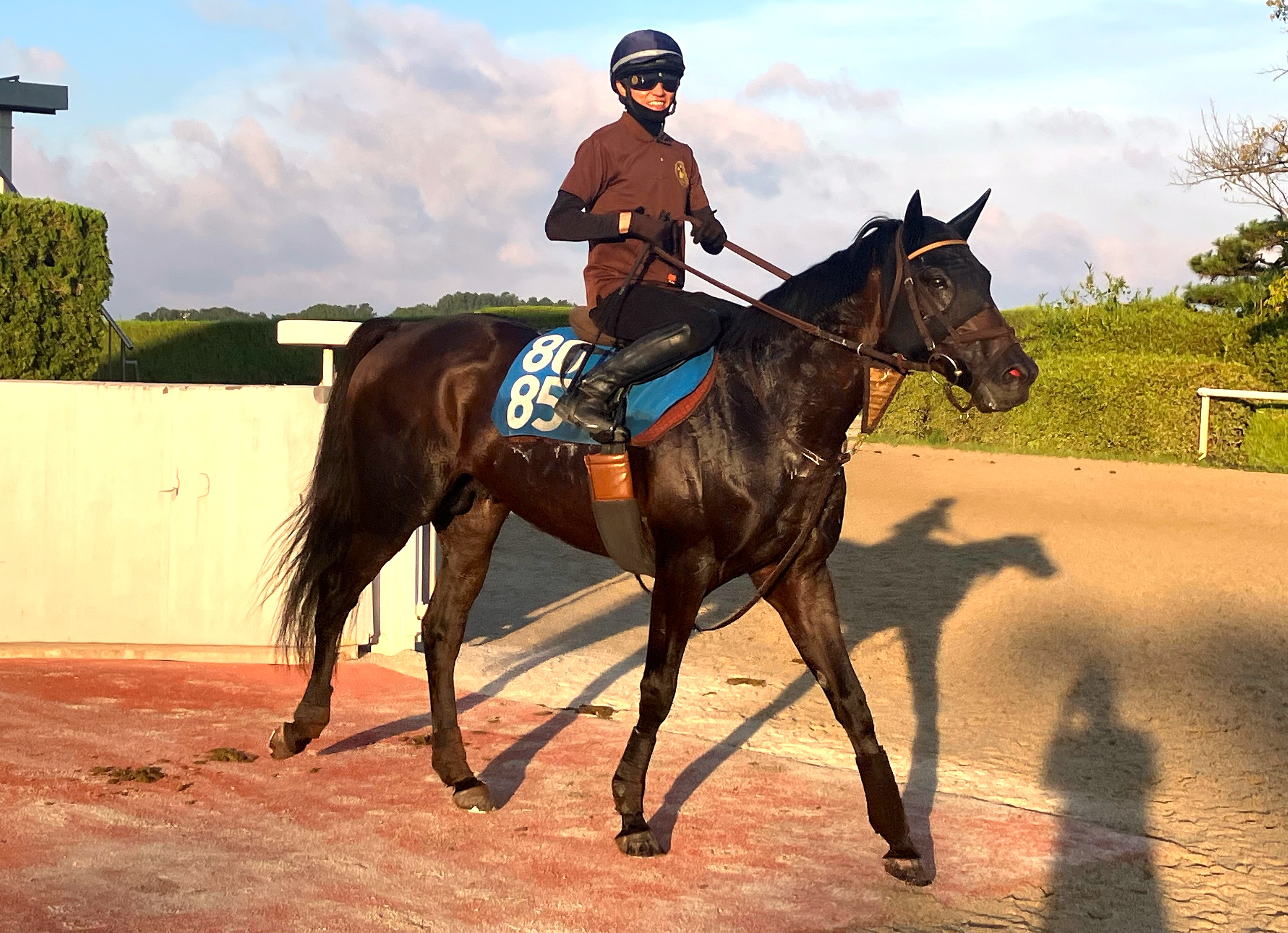 画像サムネイル