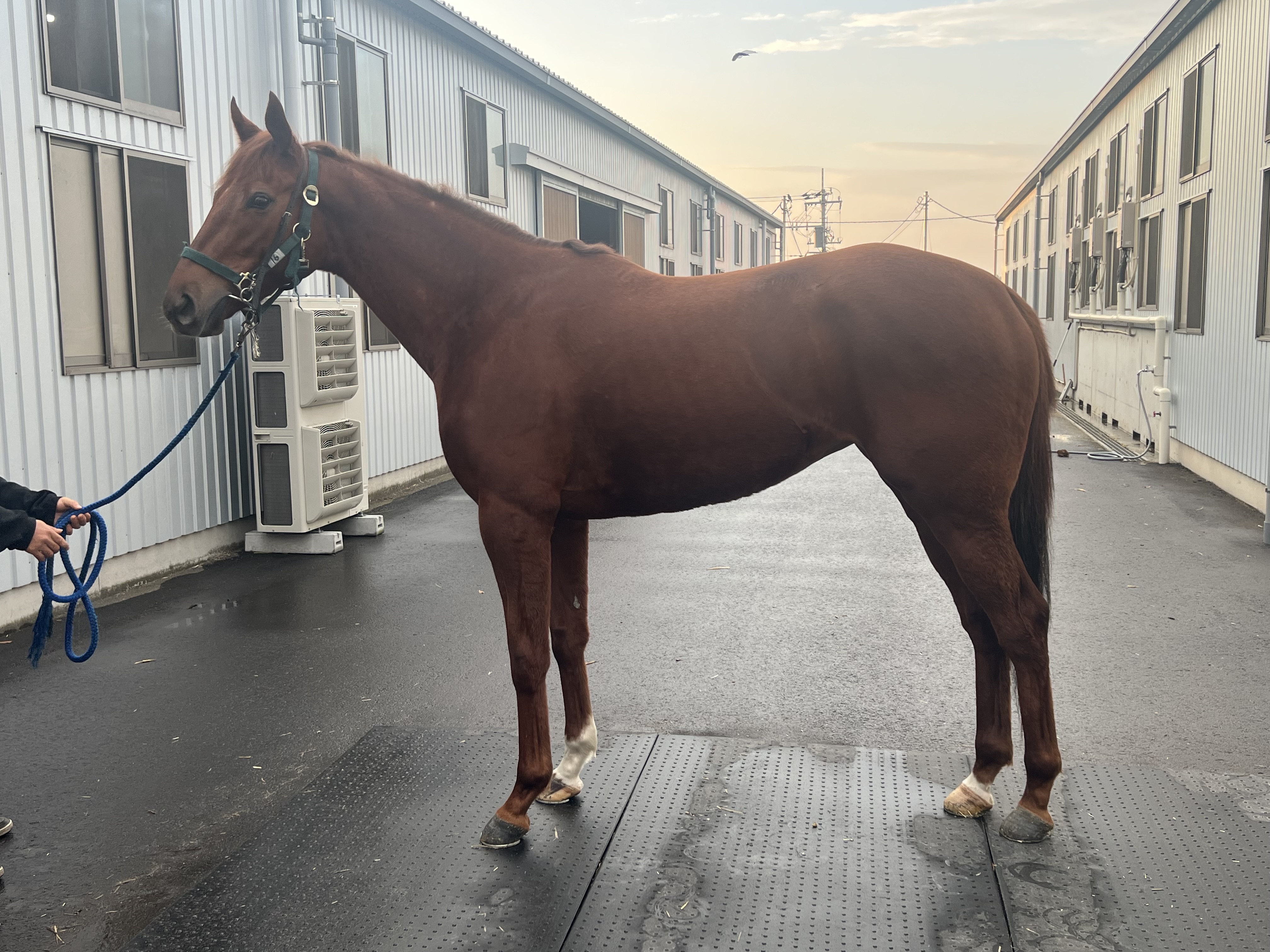 画像サムネイル