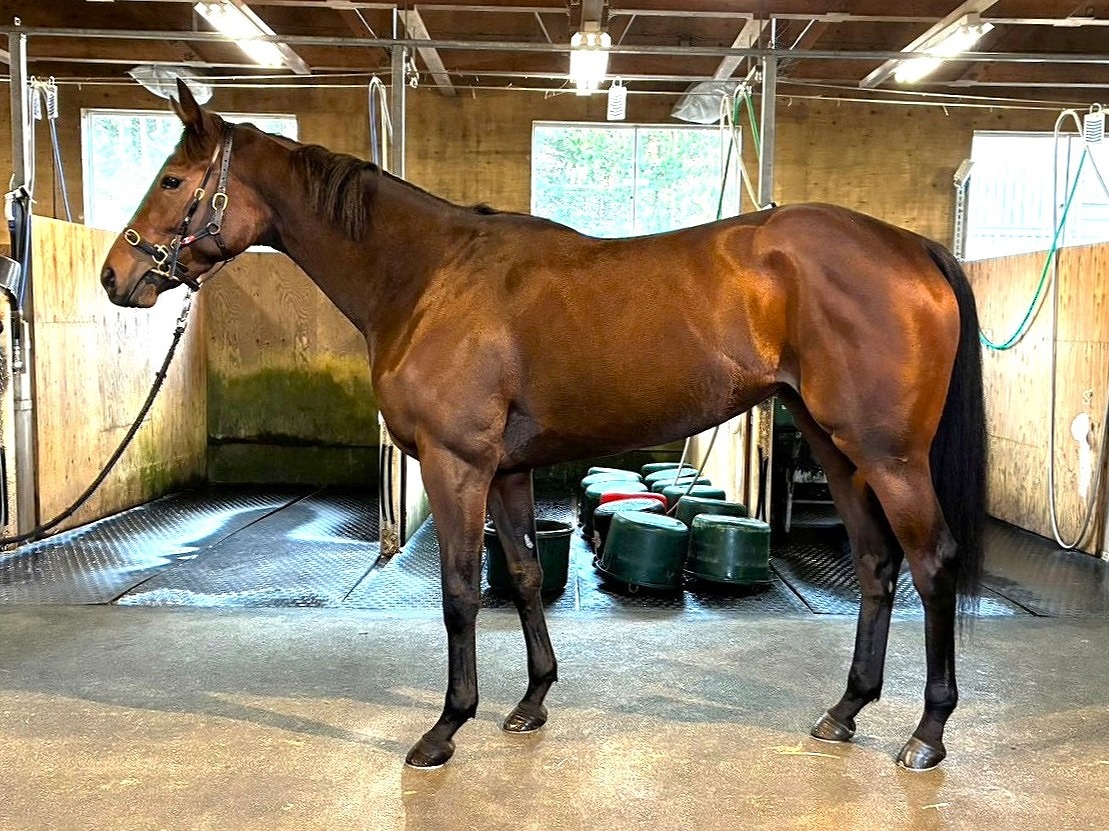 画像サムネイル