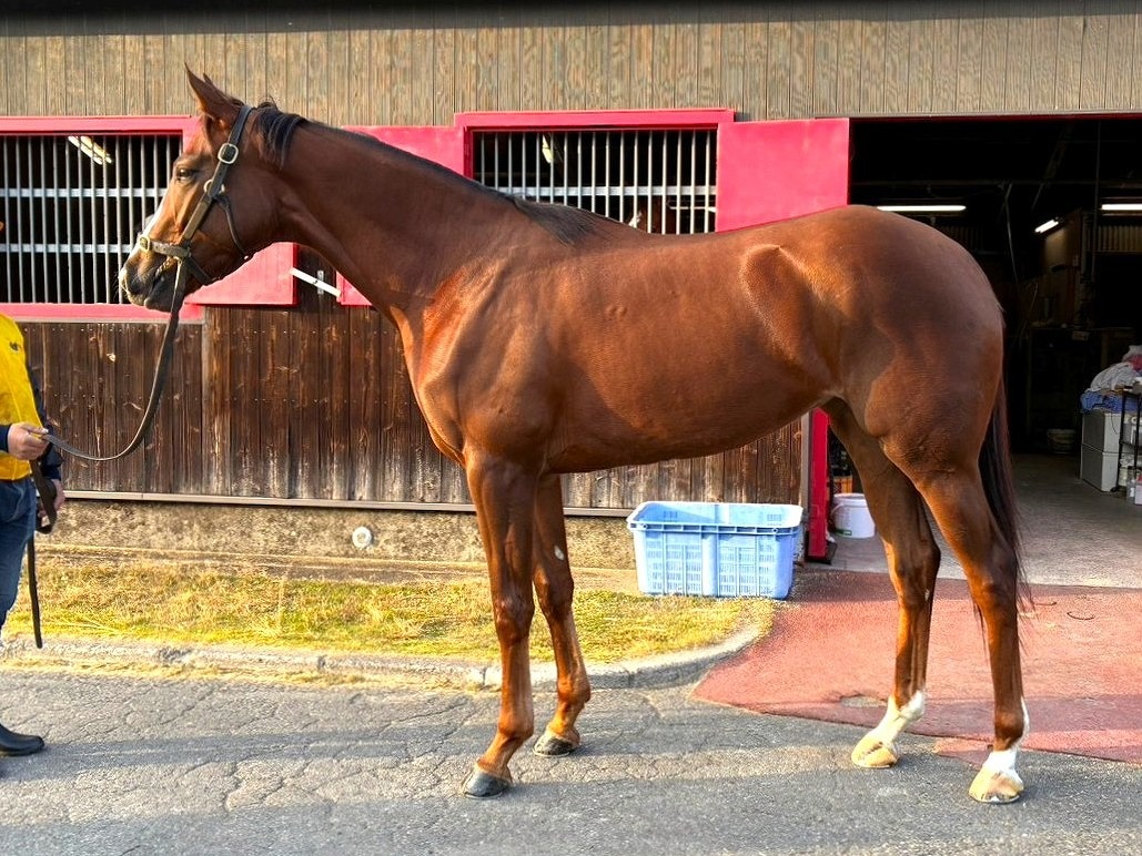 画像サムネイル