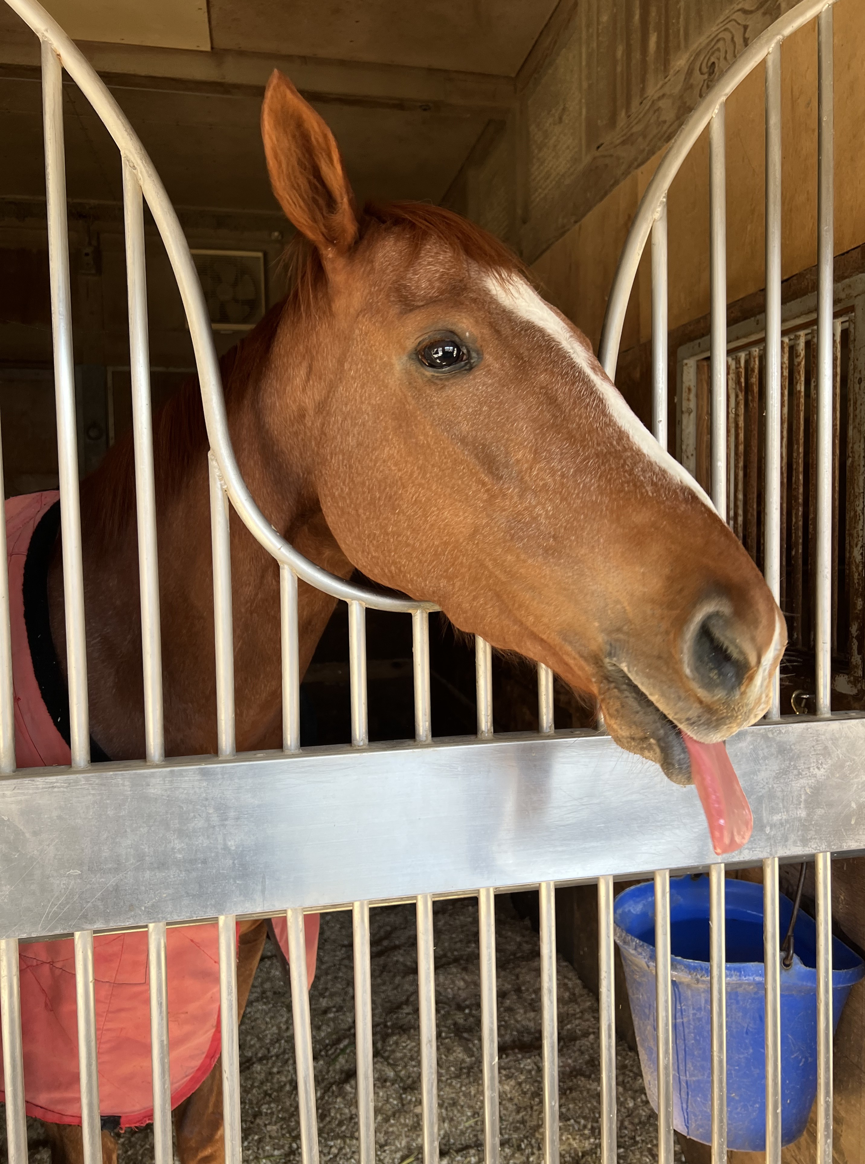 画像サムネイル