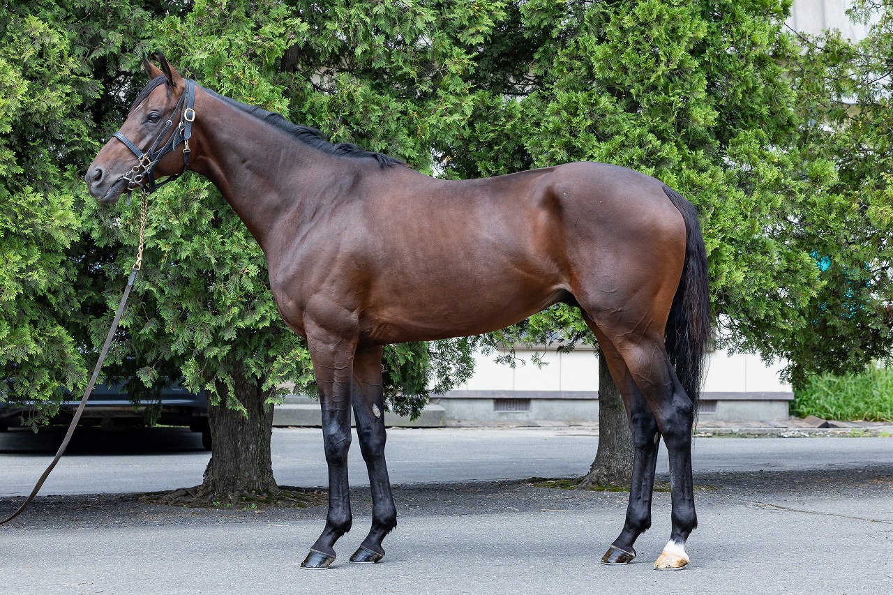 画像サムネイル