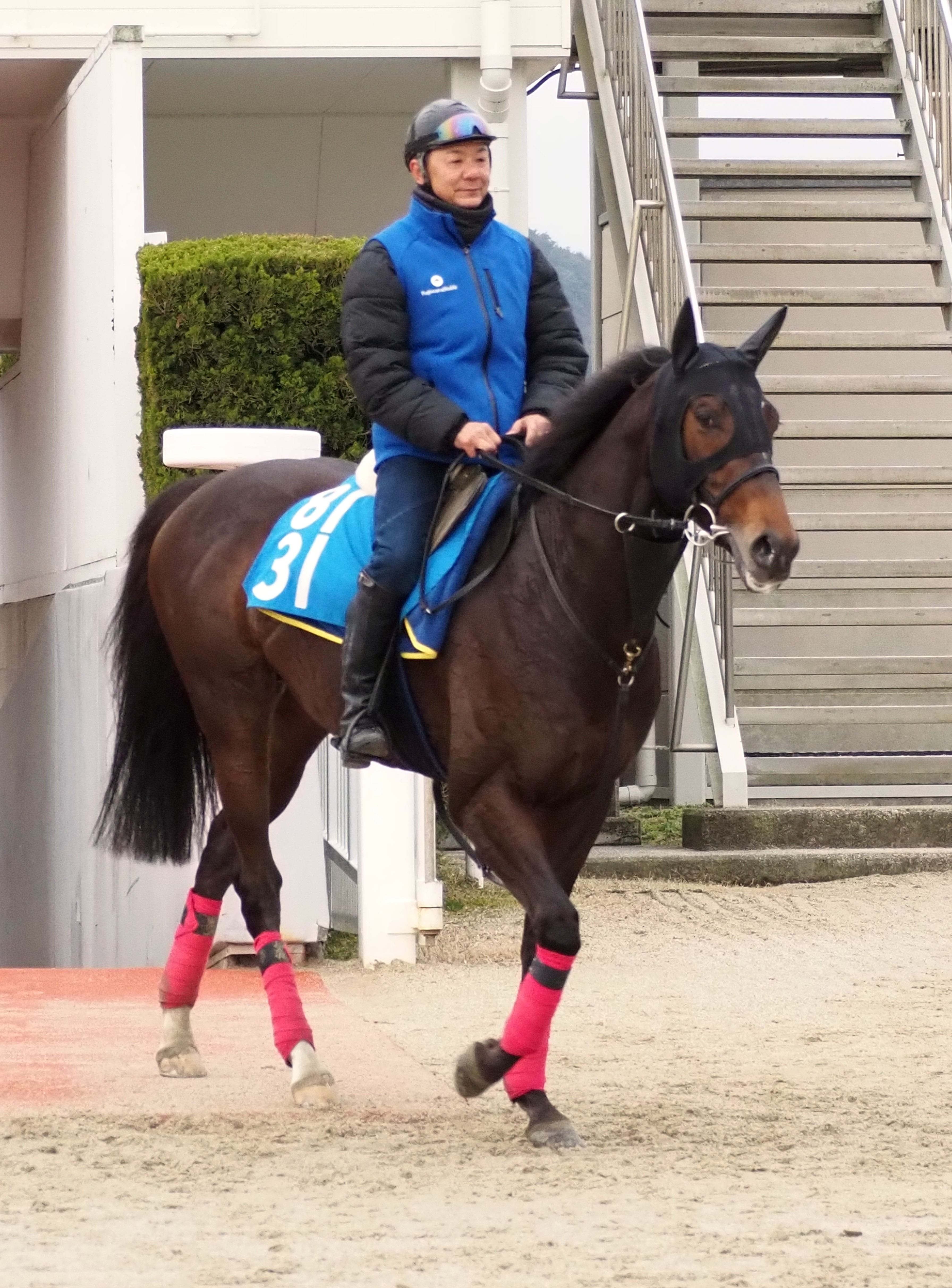 画像サムネイル