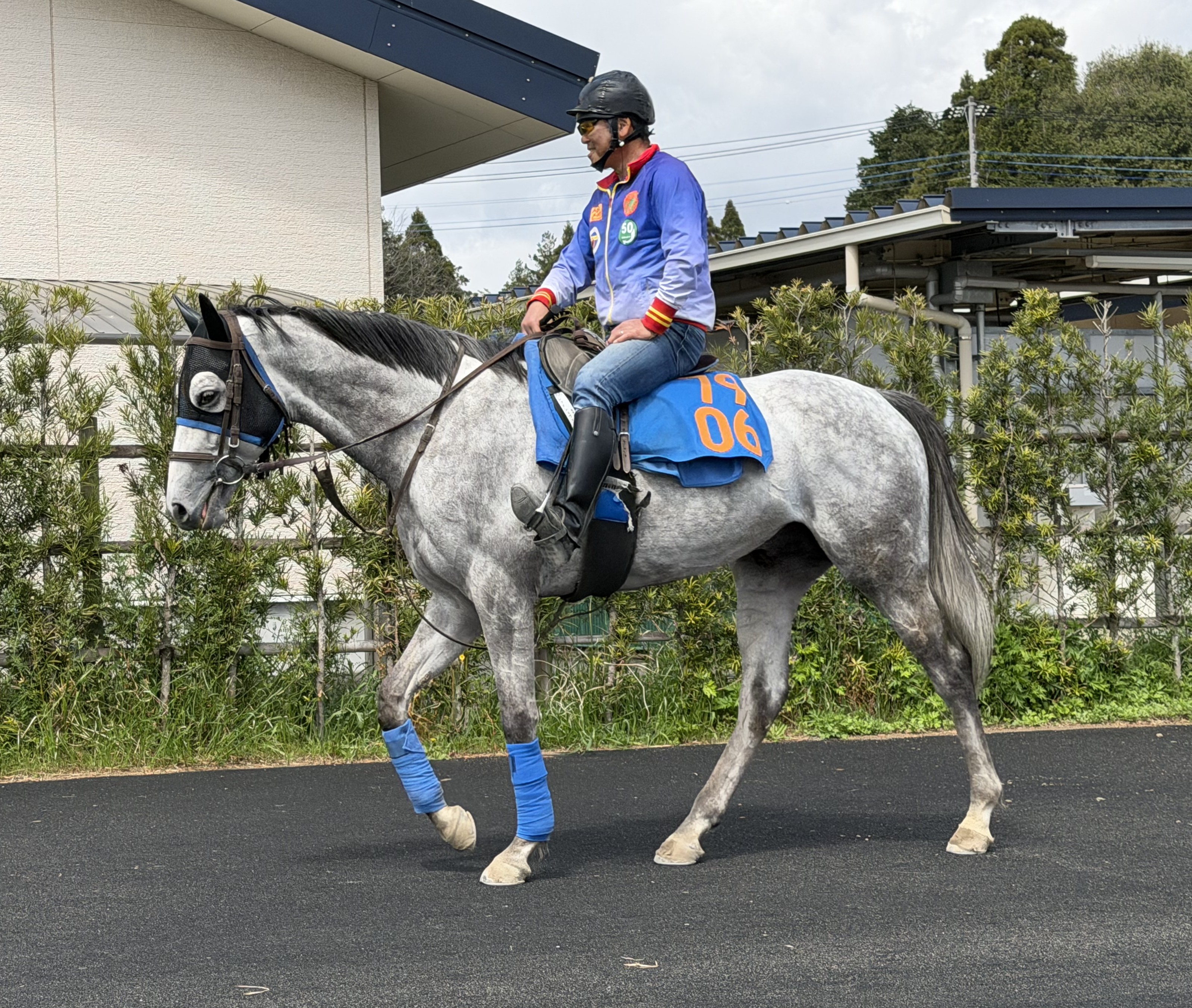 画像サムネイル