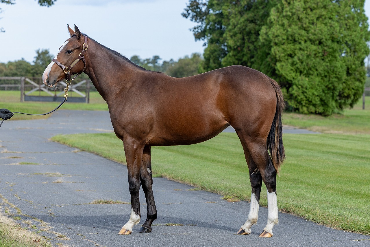 画像サムネイル