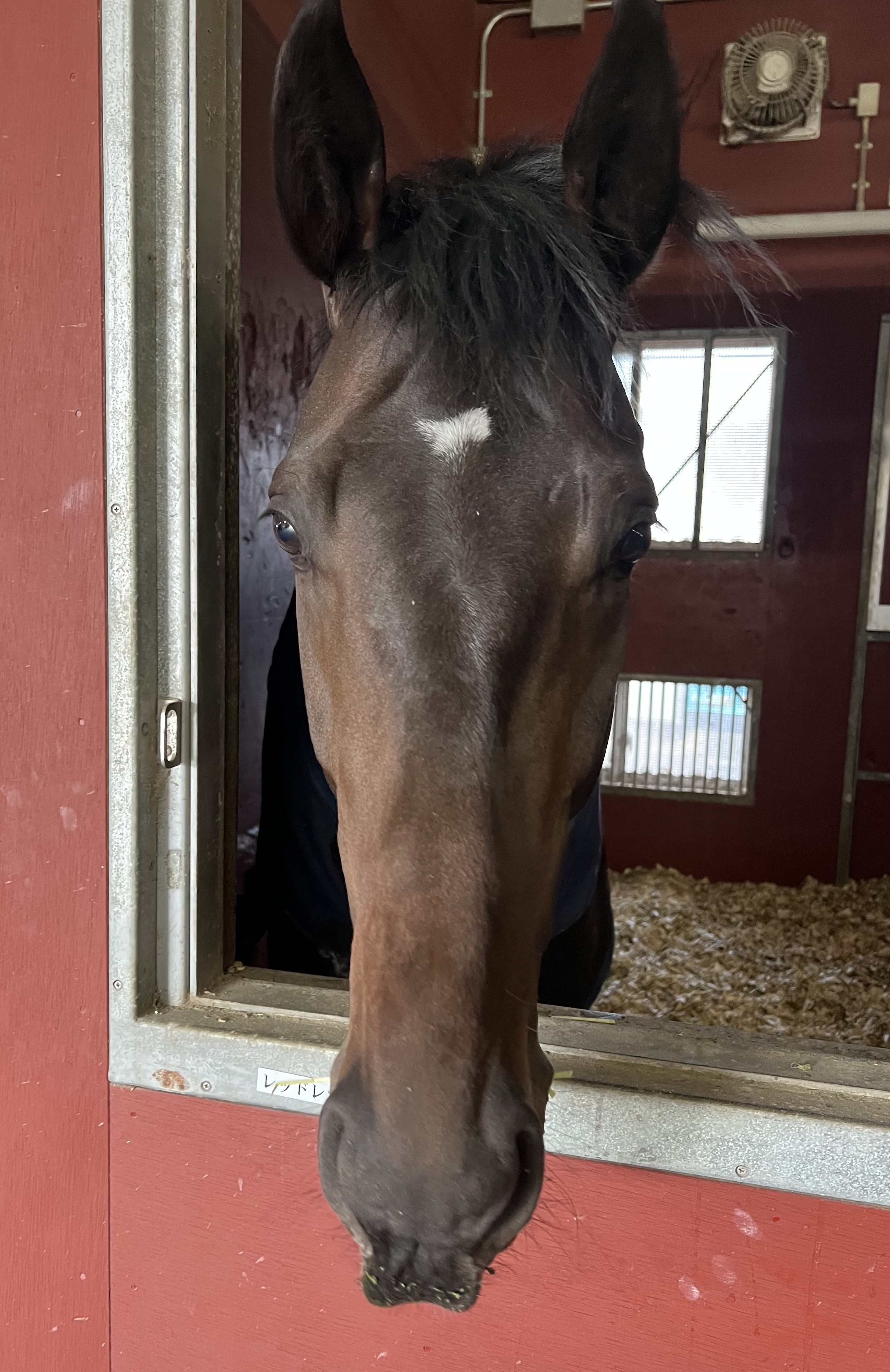 画像サムネイル