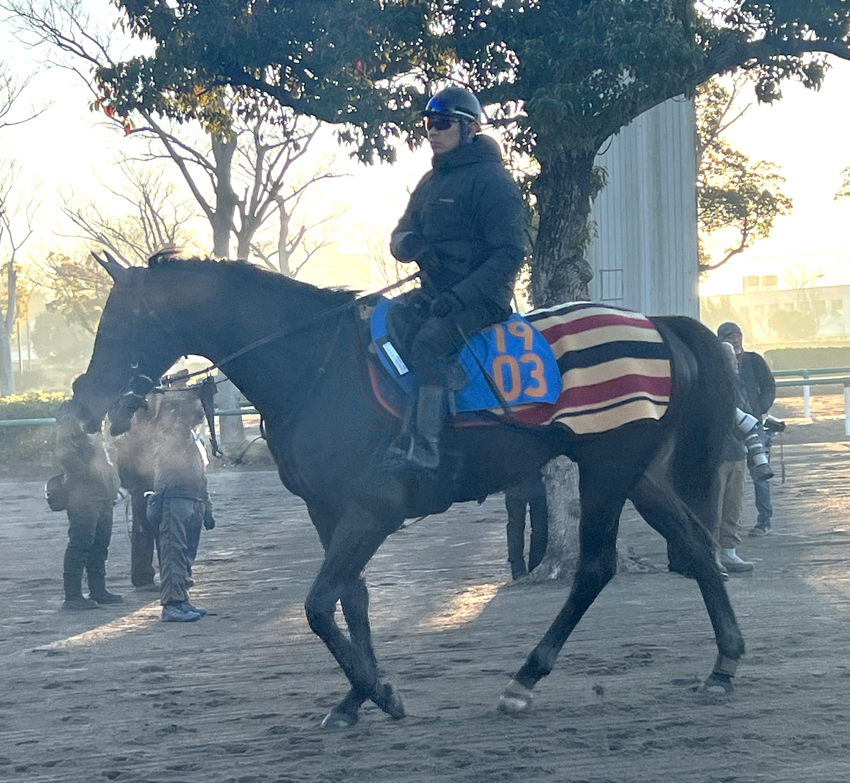 画像サムネイル