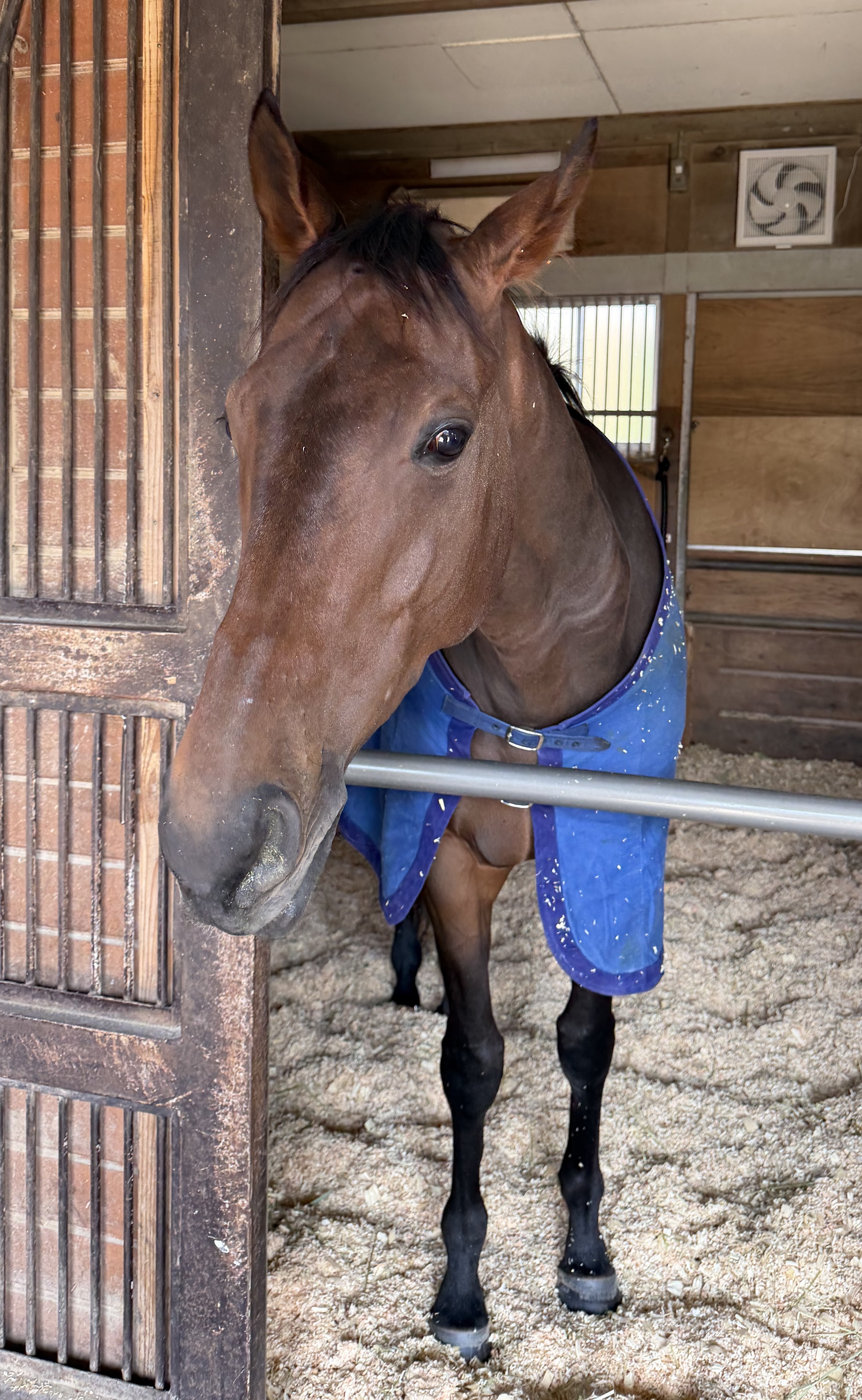 画像サムネイル