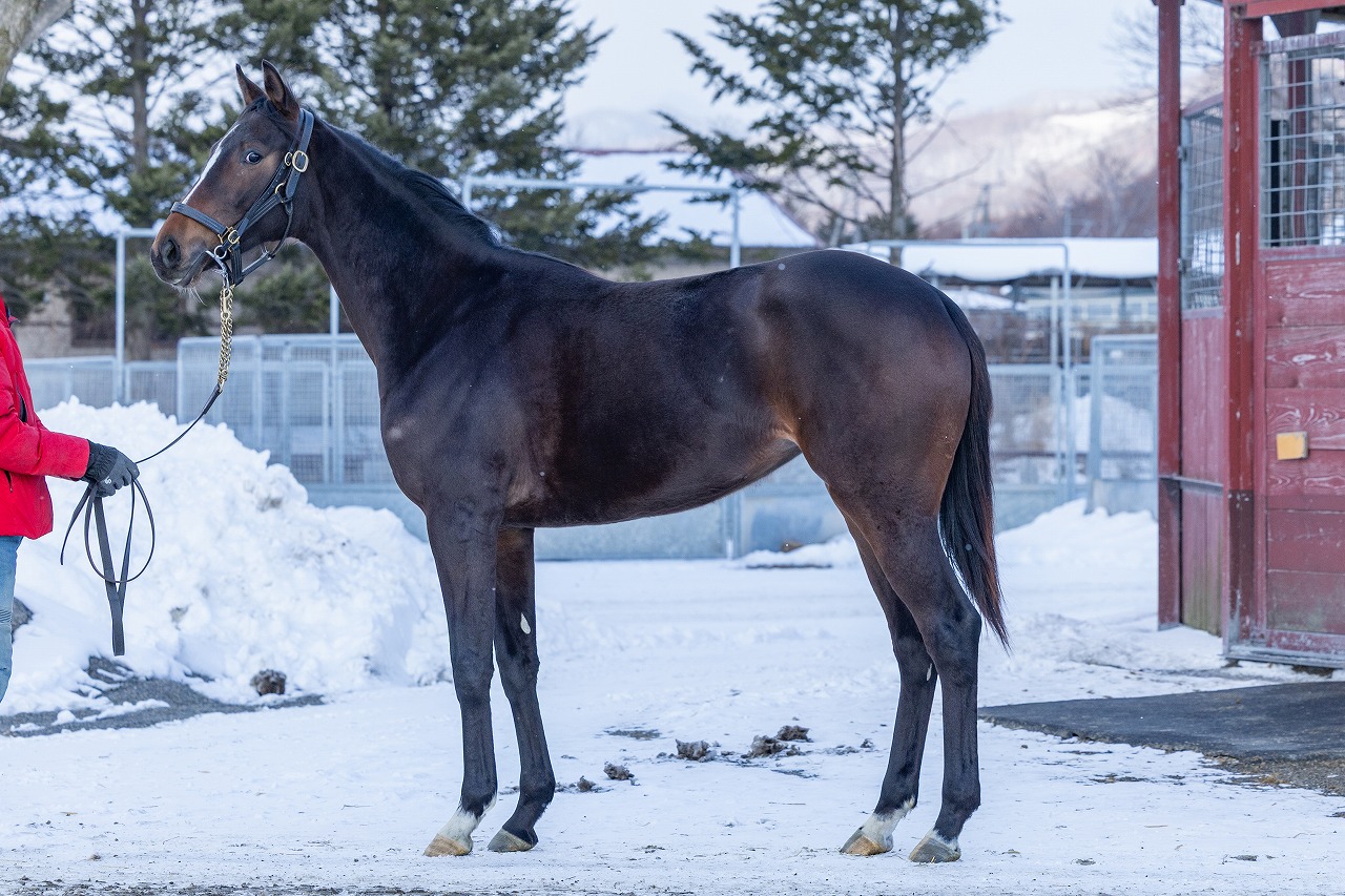 画像サムネイル