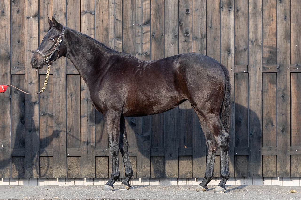 画像サムネイル