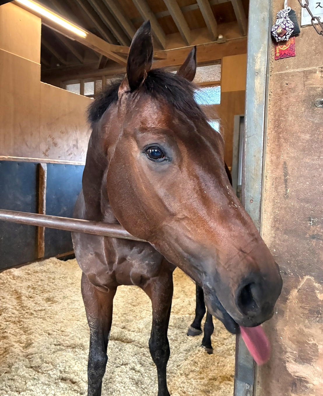 画像サムネイル