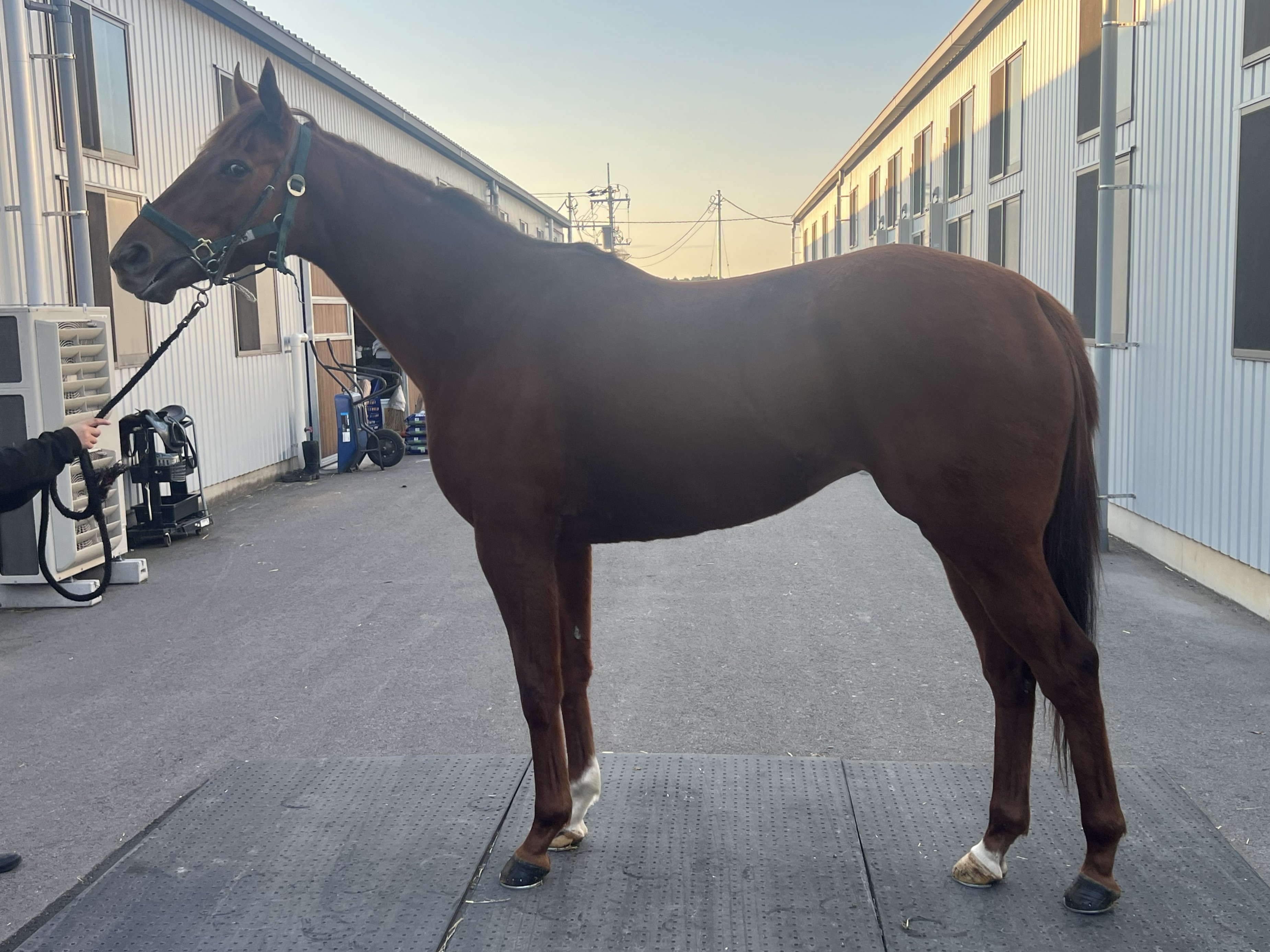 画像サムネイル