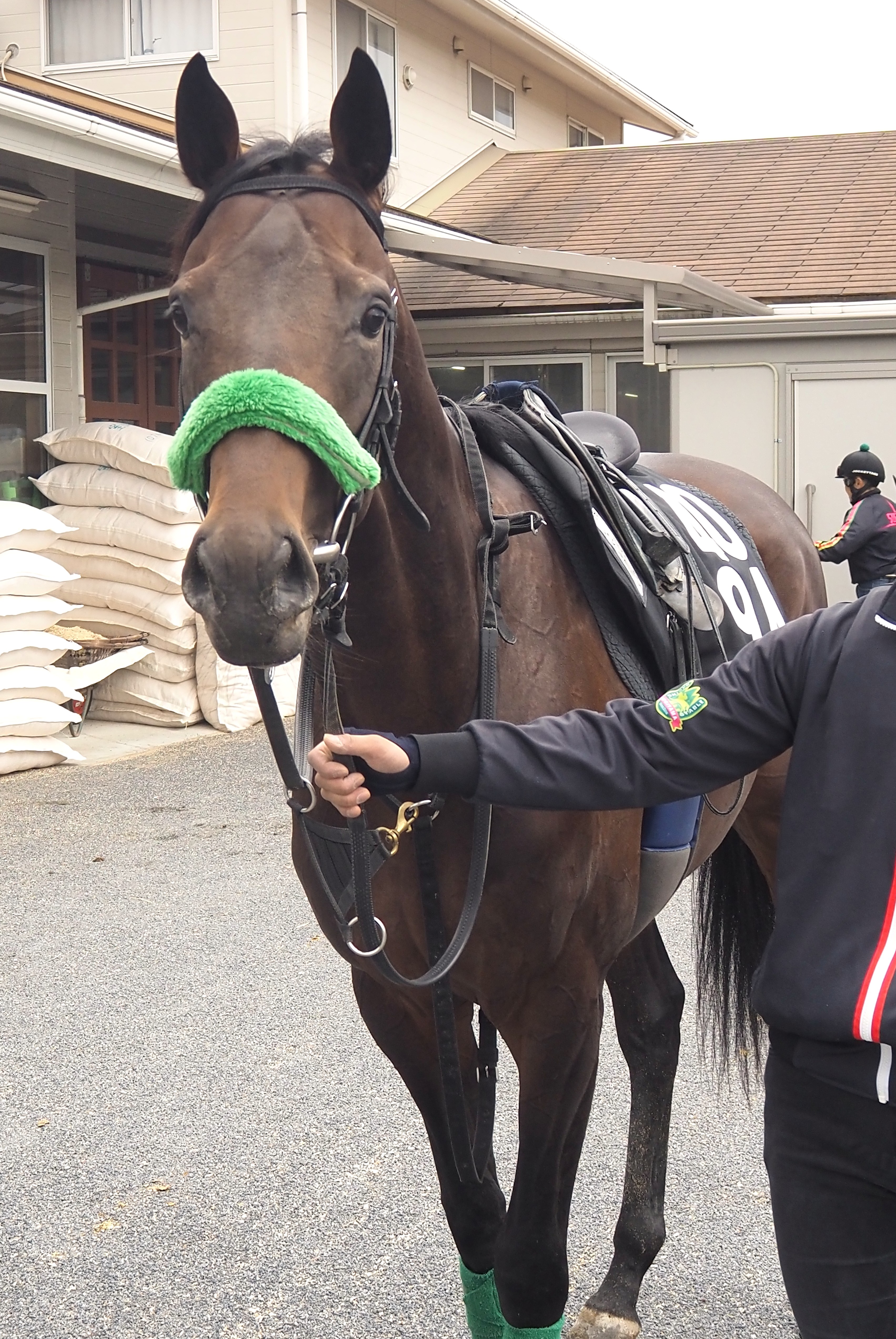 画像サムネイル